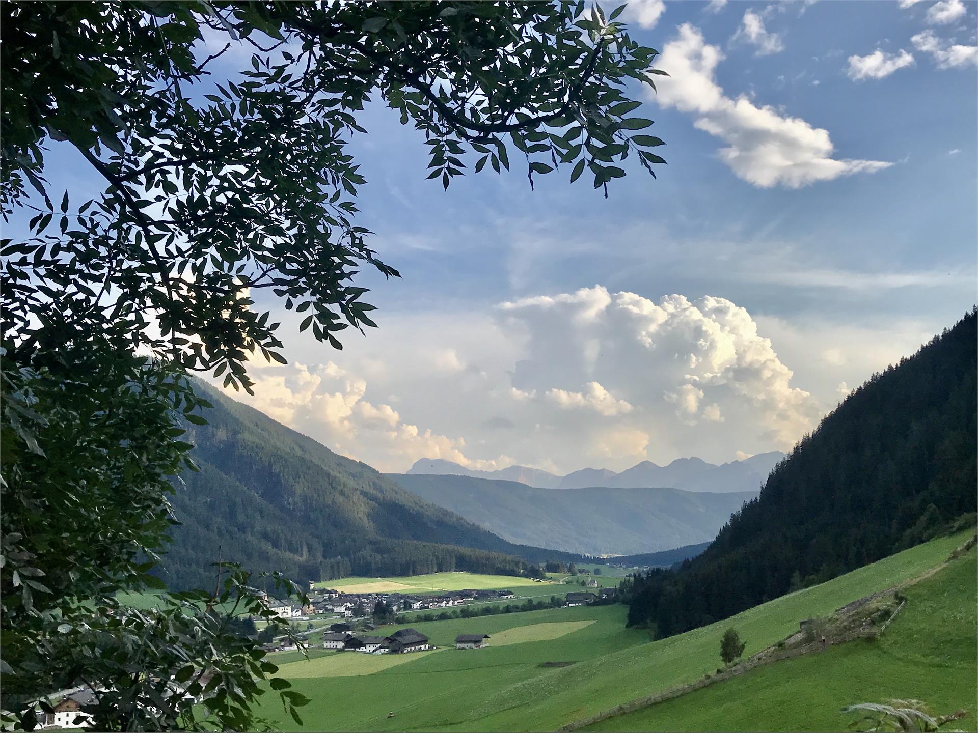 Grieshof am Pühel Valle di Casies 6 suedtirol.info