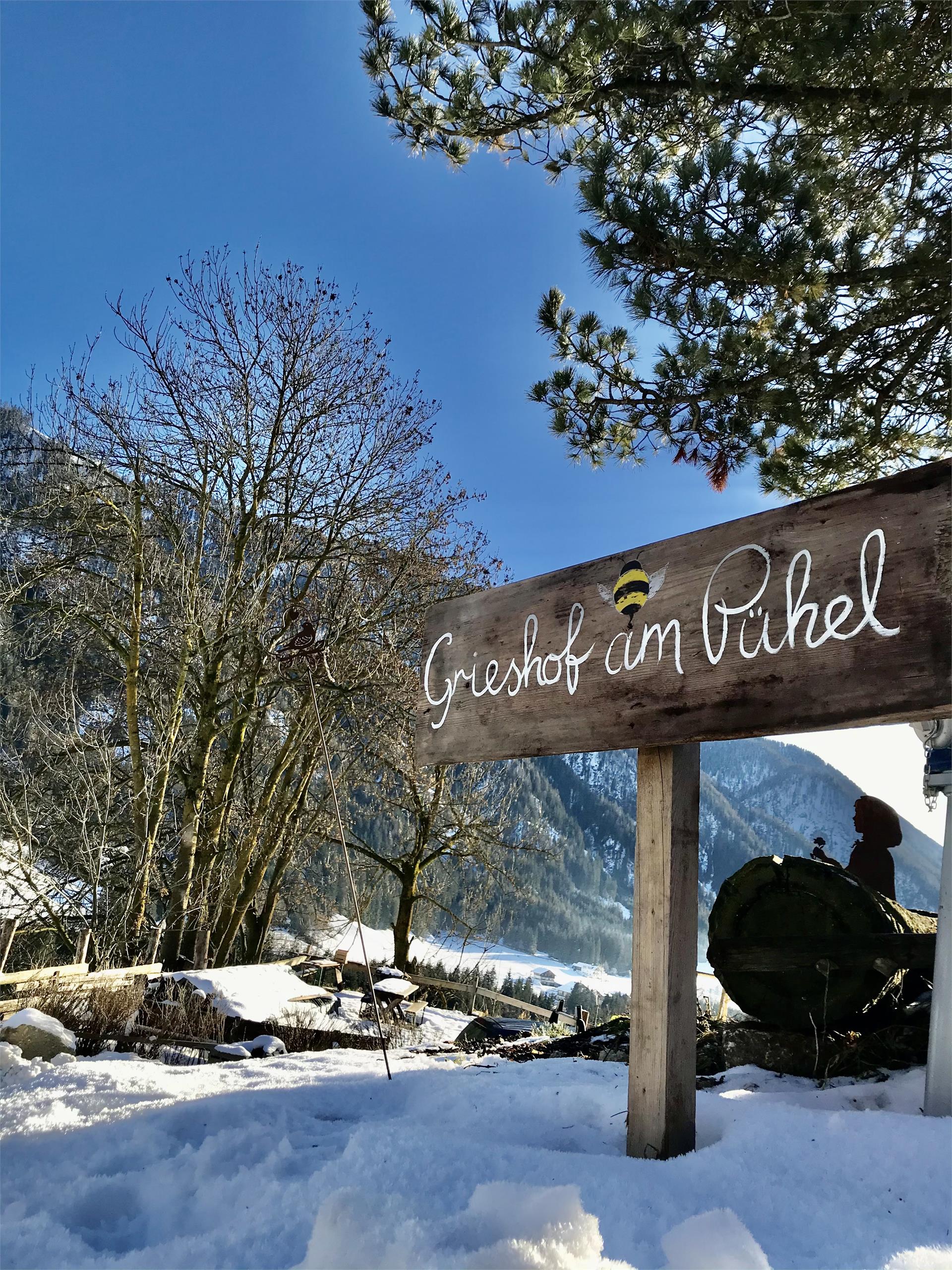 Grieshof am Pühel Valle di Casies 15 suedtirol.info