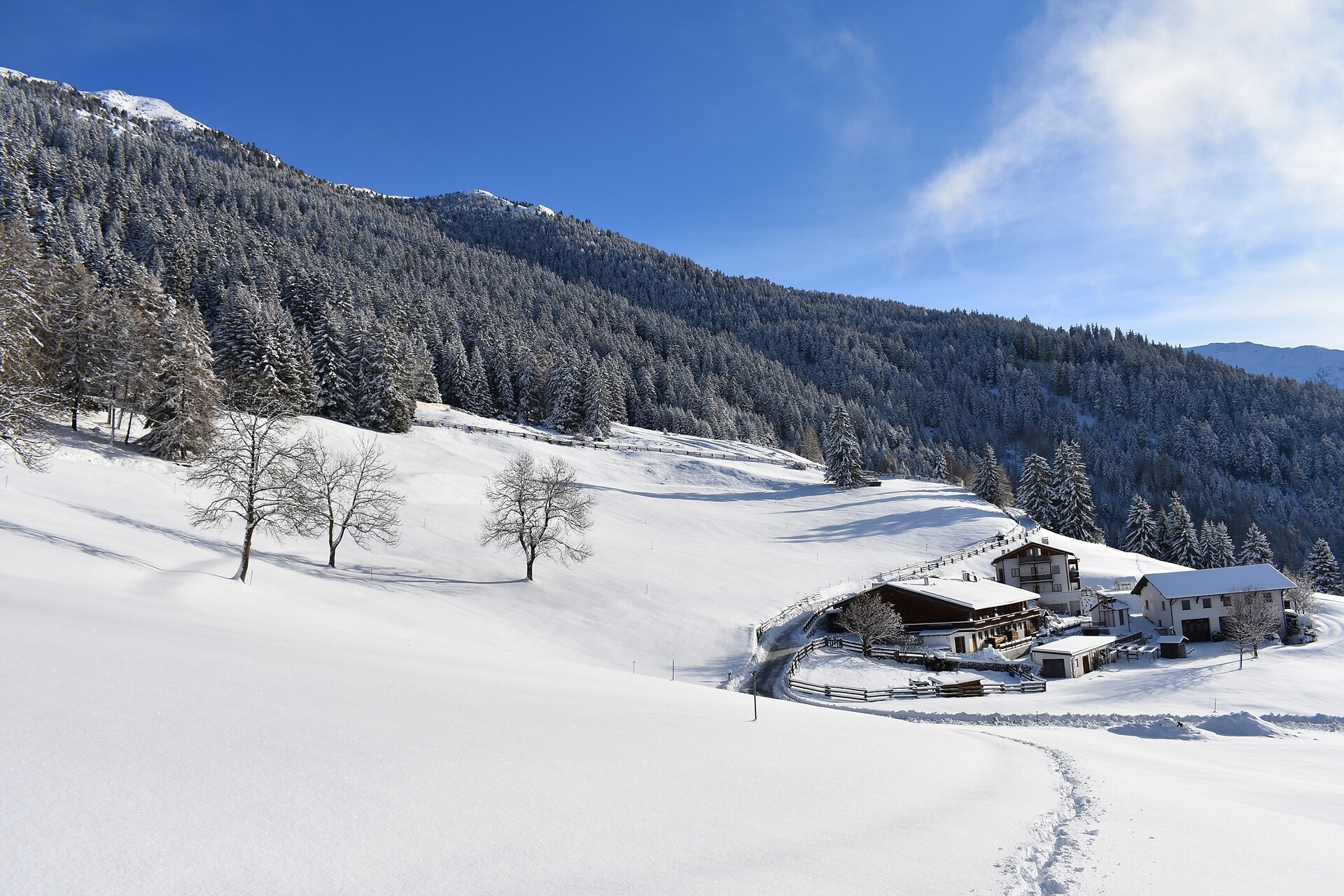 Winter