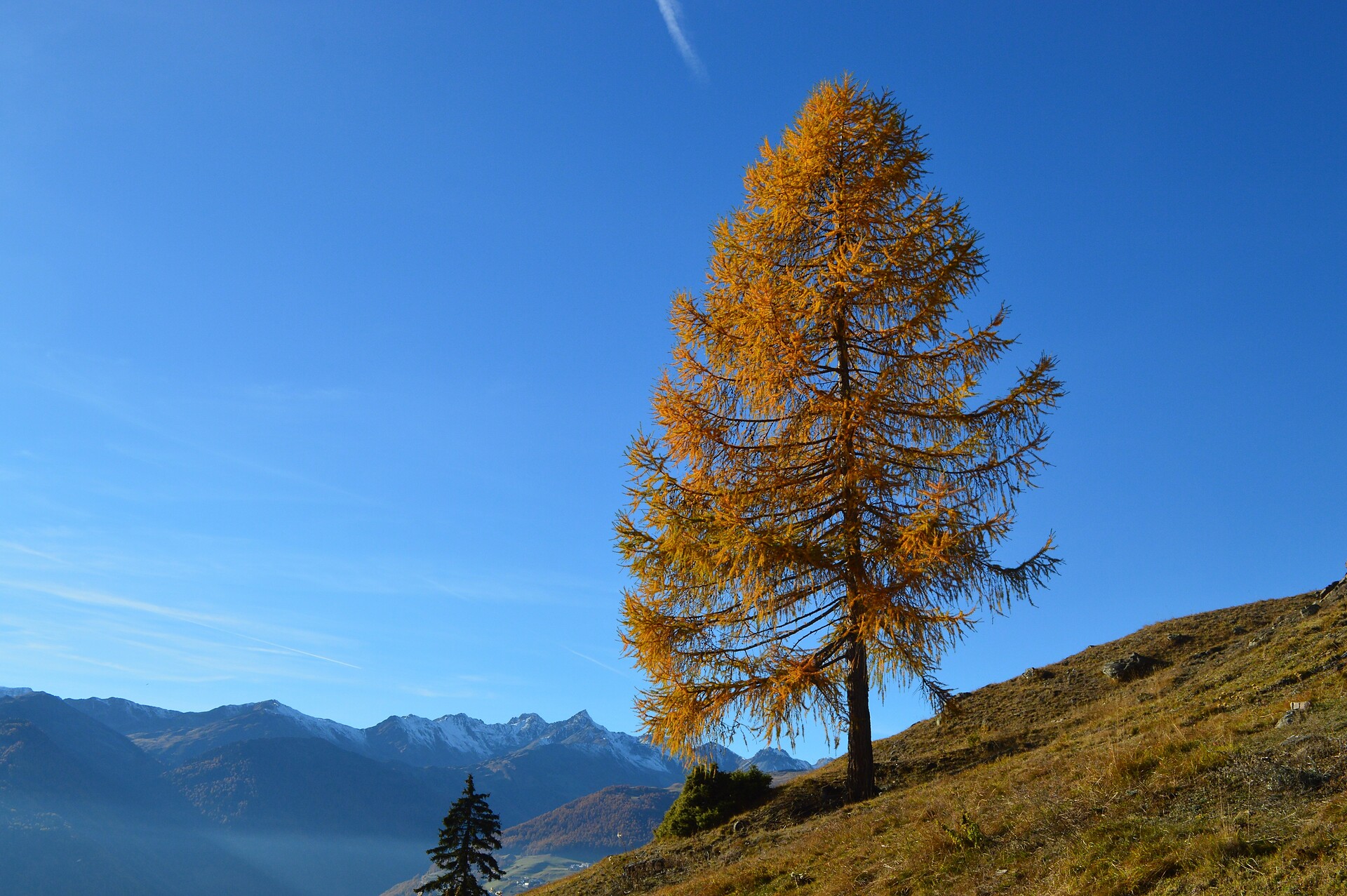 Autumn