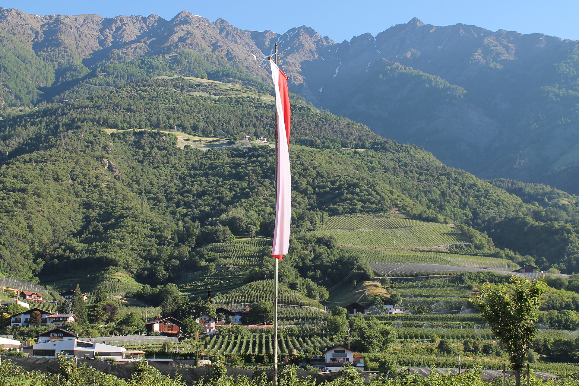 Blick auf den Sonnenberg