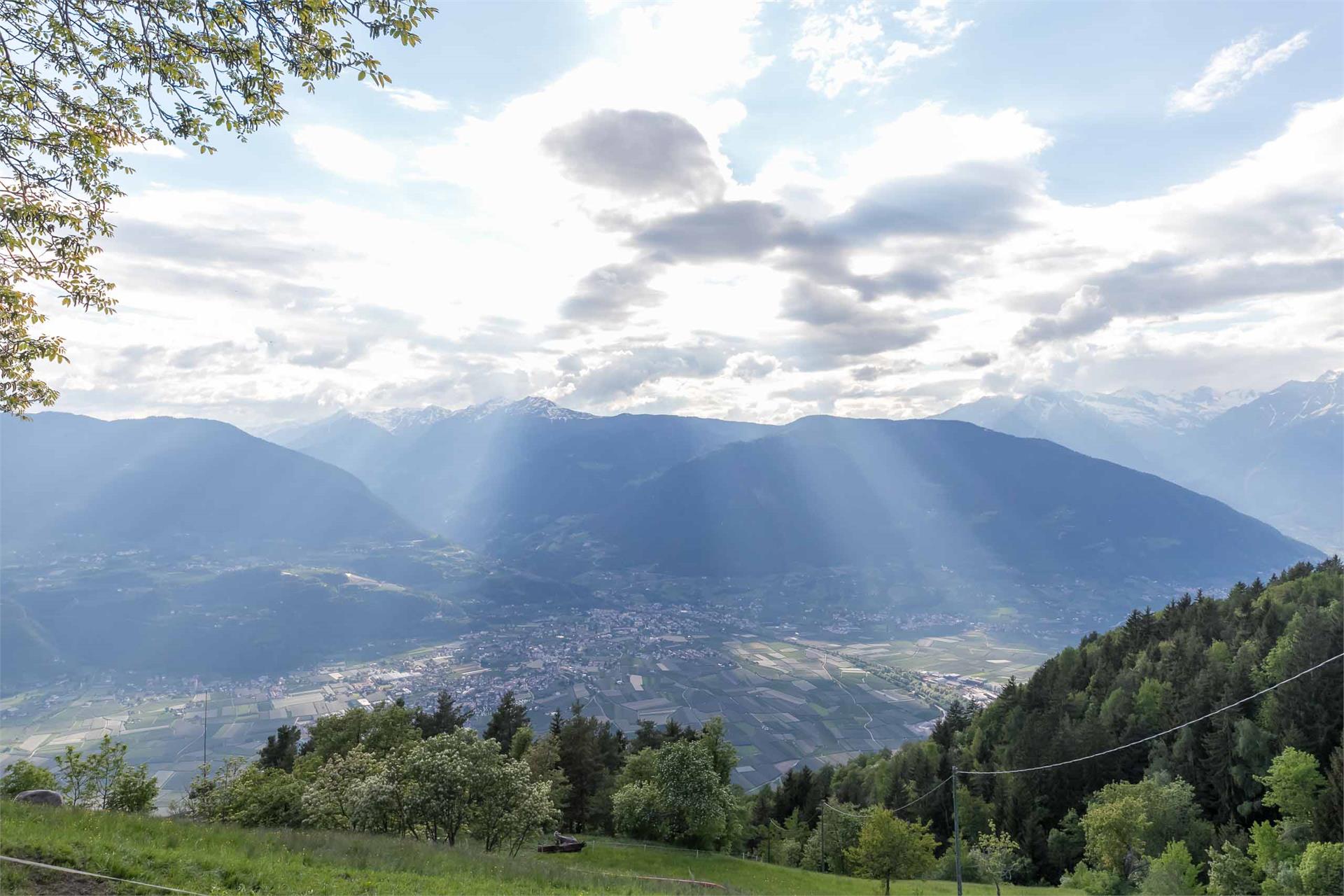 Gruberhof Vöran 18 suedtirol.info