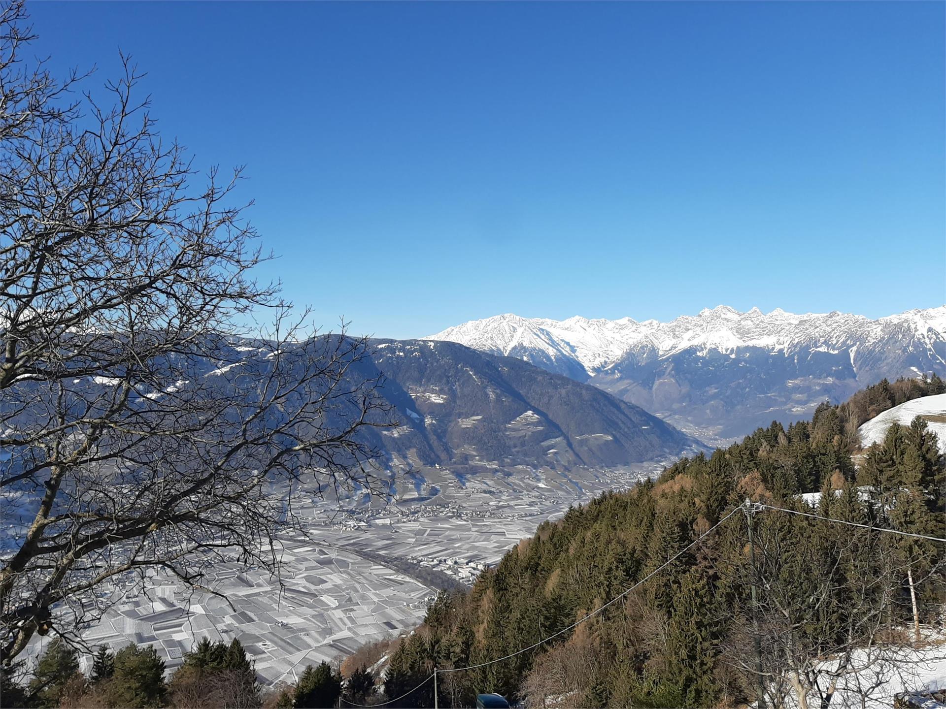 Gruberhof Vöran 20 suedtirol.info