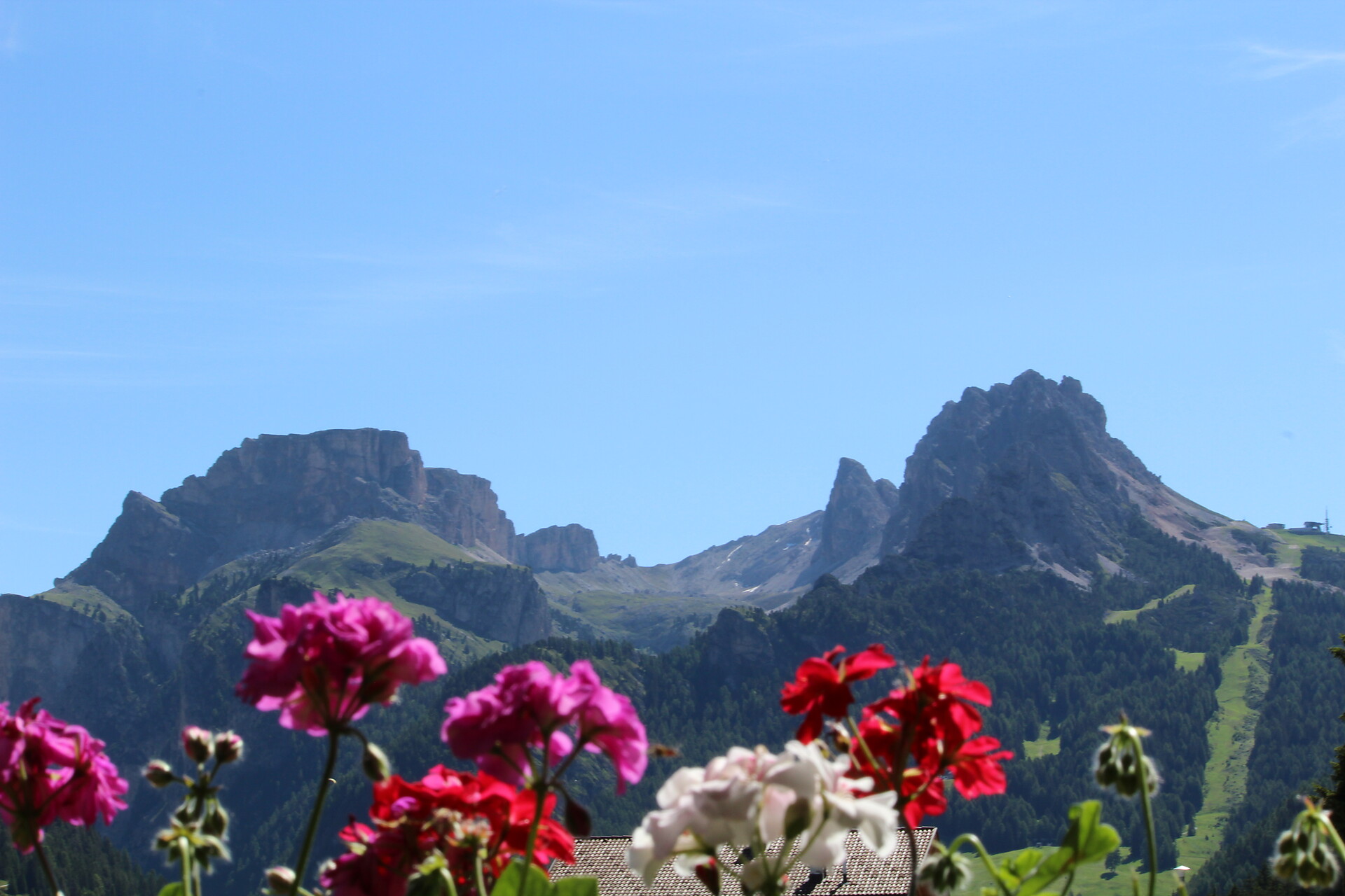 Garni Vergissmeinnicht Wolkenstein 27 suedtirol.info