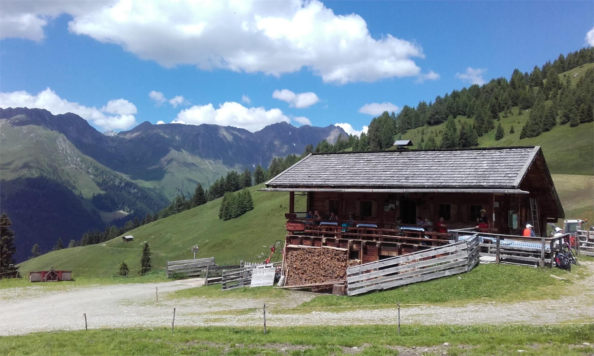 Gattererhof Gsies 4 suedtirol.info