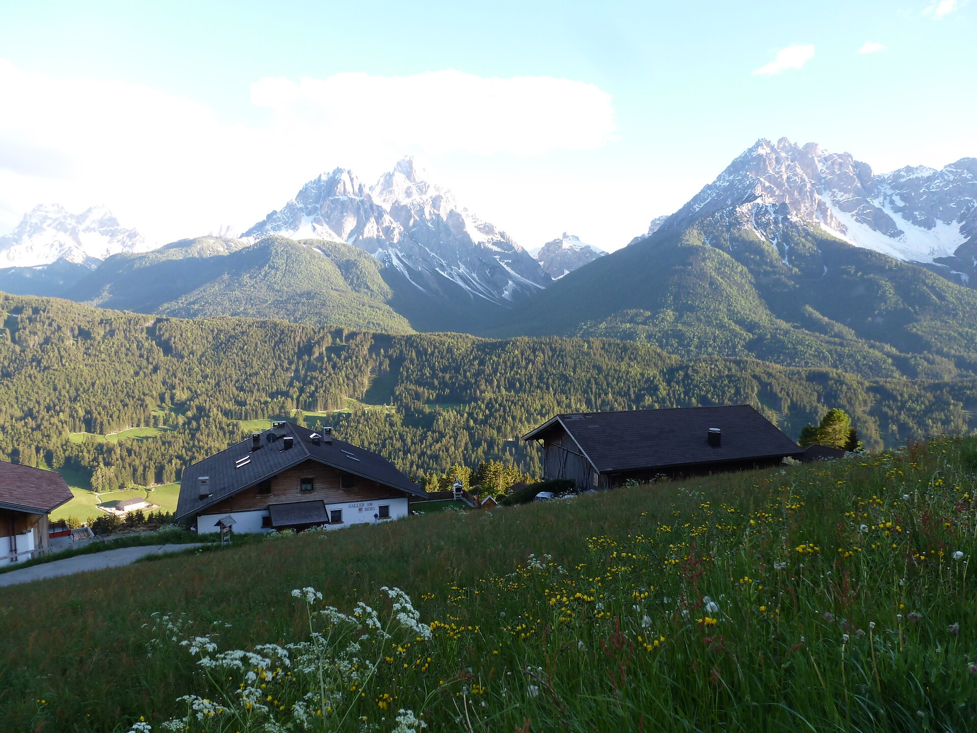 Galler am Berg