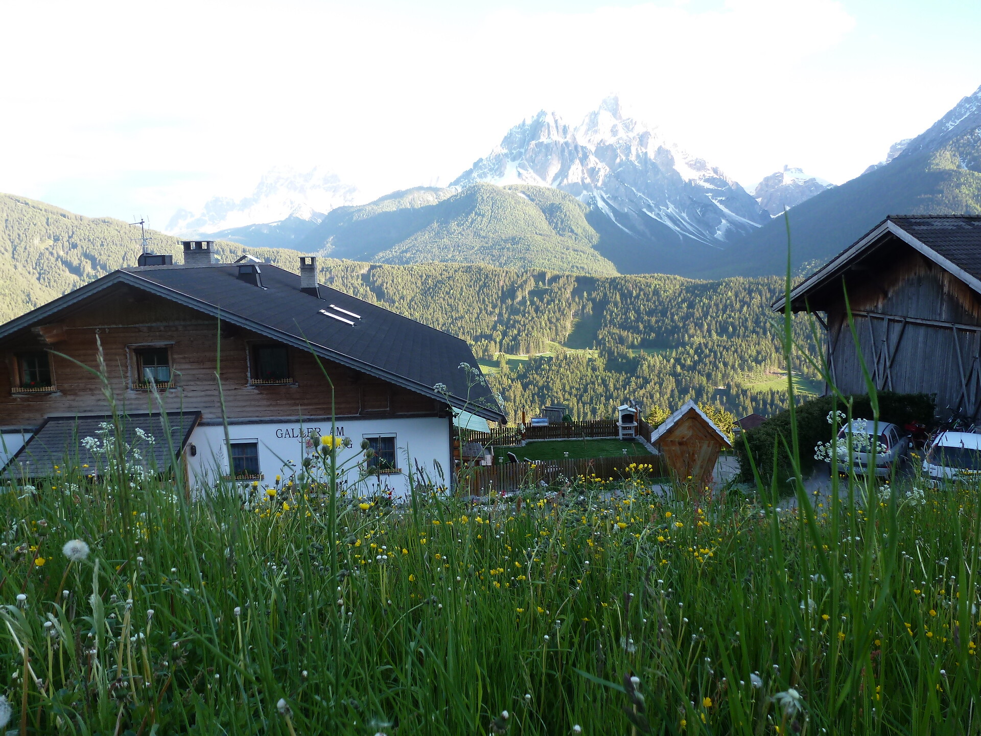 Galler am Berg