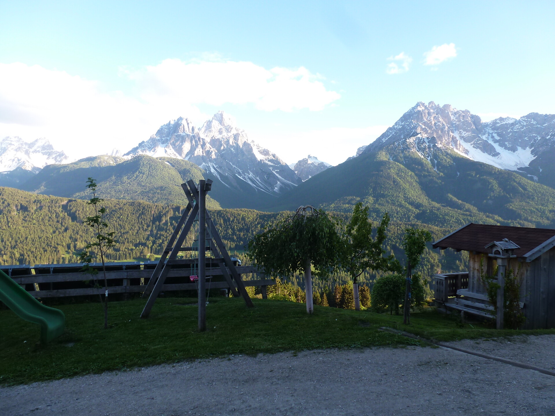 Galler am Berg