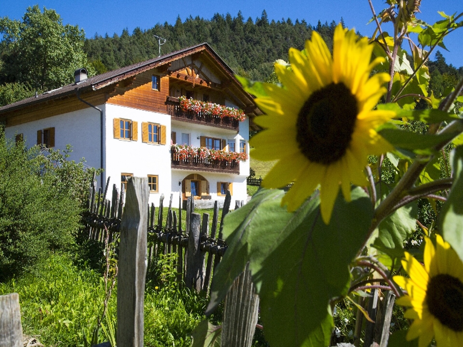 Gastrein Mölten/Meltina 5 suedtirol.info