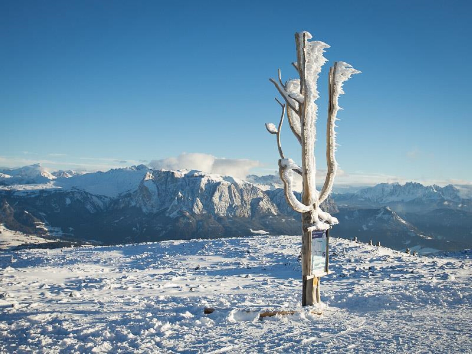 Winter Rittner Horn