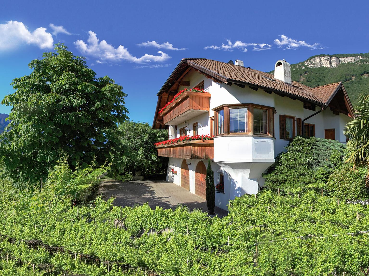 Gewürztraminerhof Tramin an der Weinstraße 1 suedtirol.info