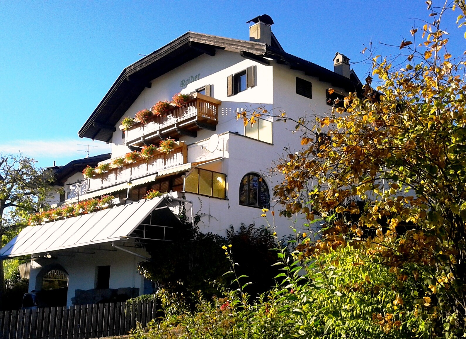 autumn