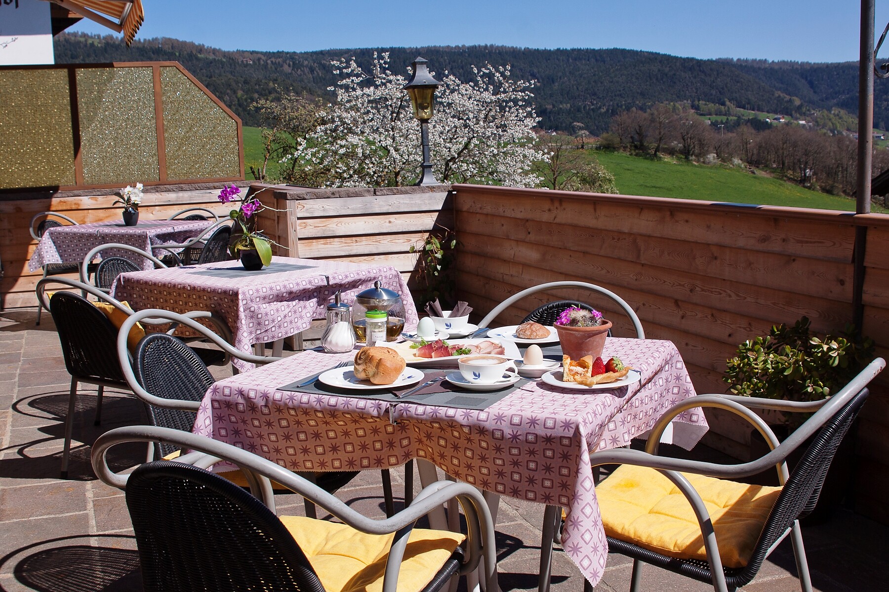 breakfast on the terrace