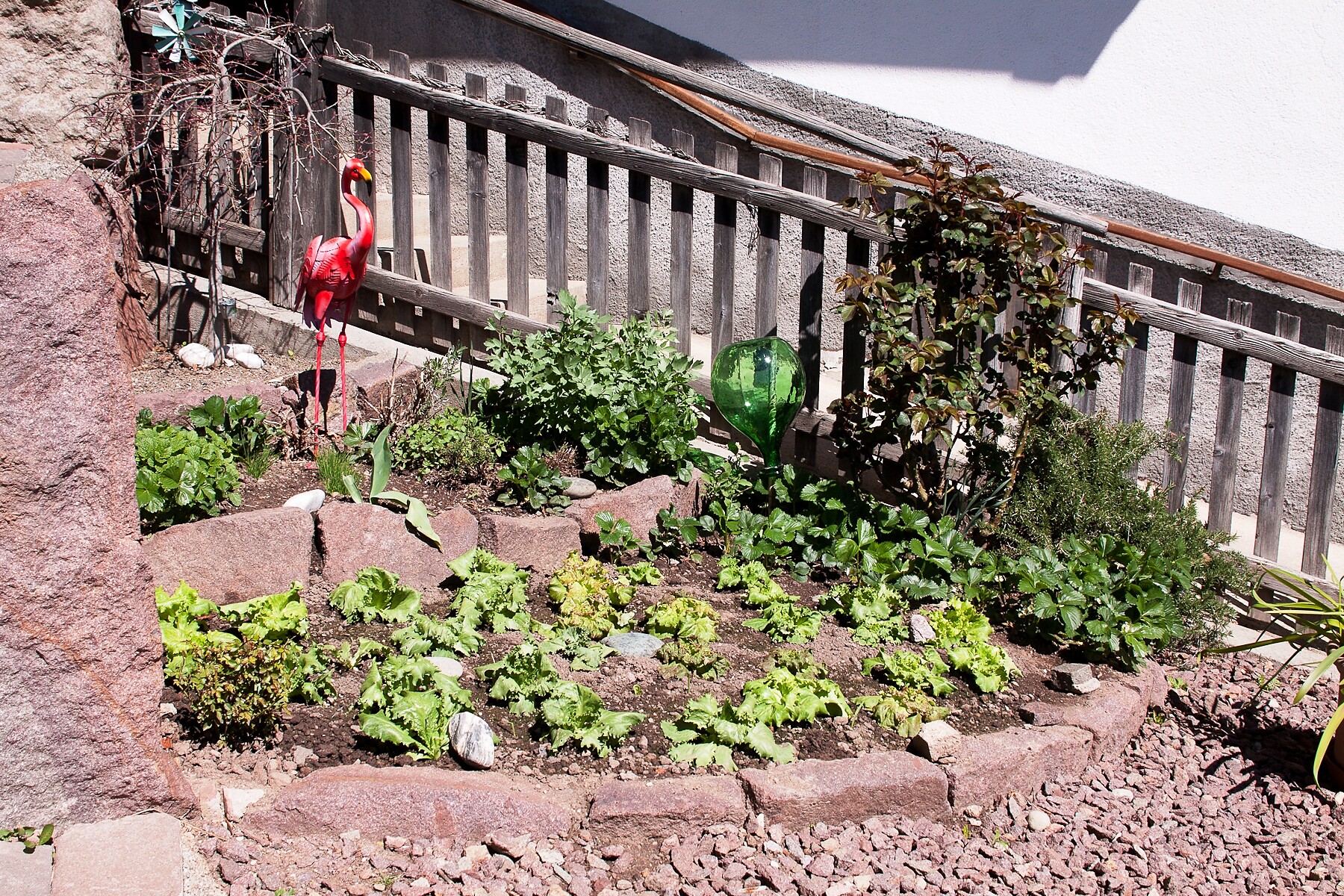 herb garden
