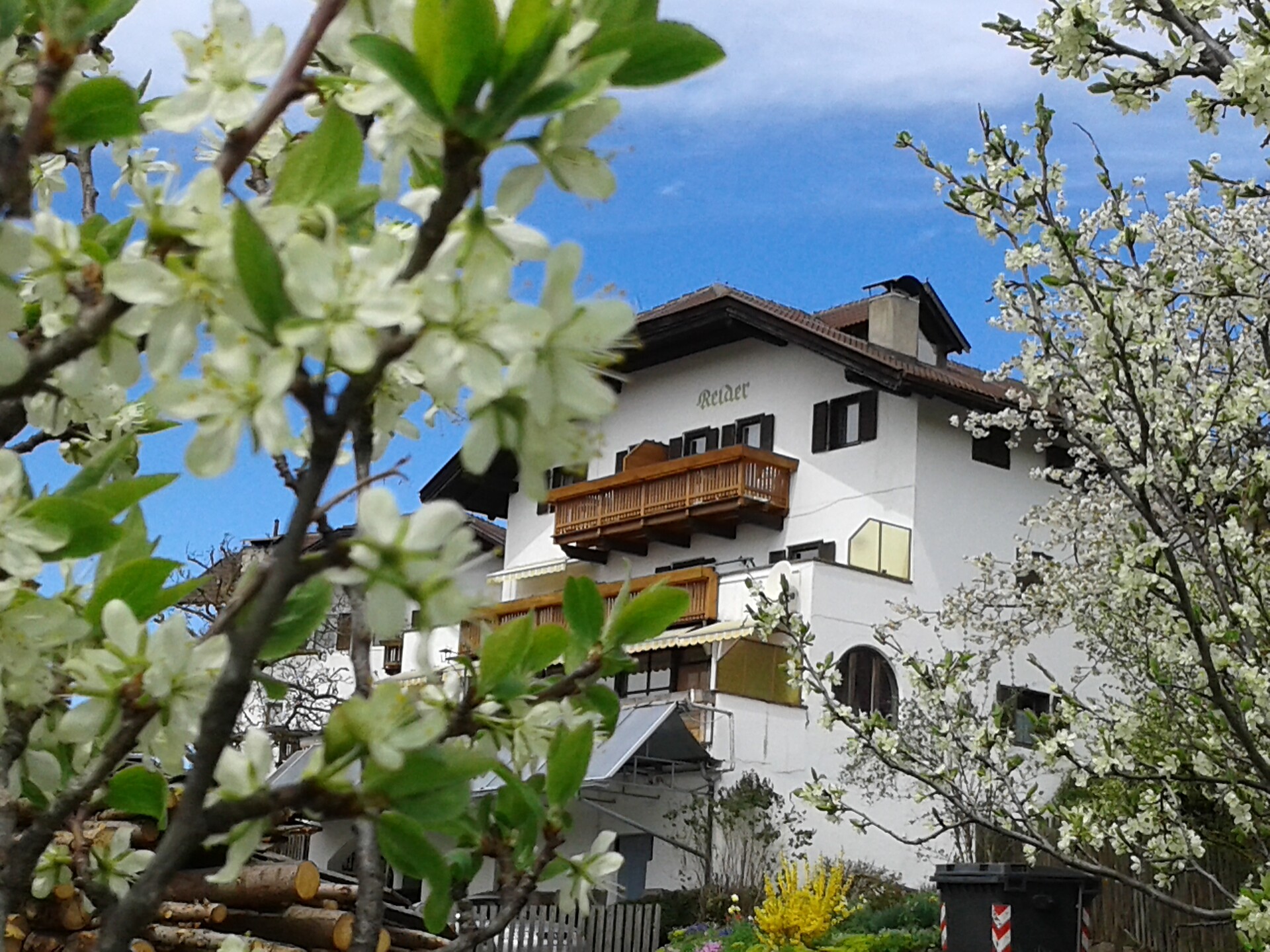 spring