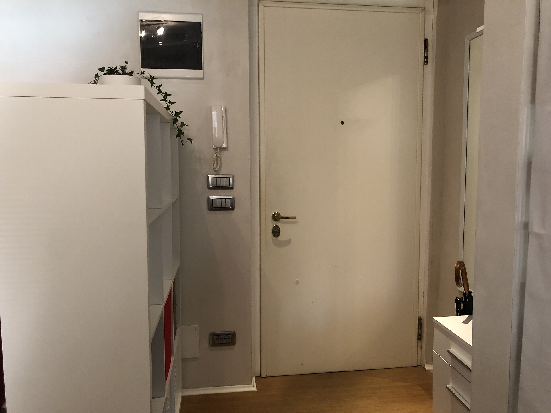 Entrance apartment