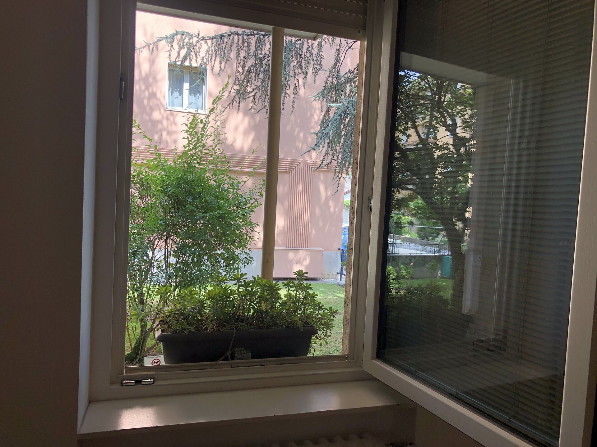 Garden view