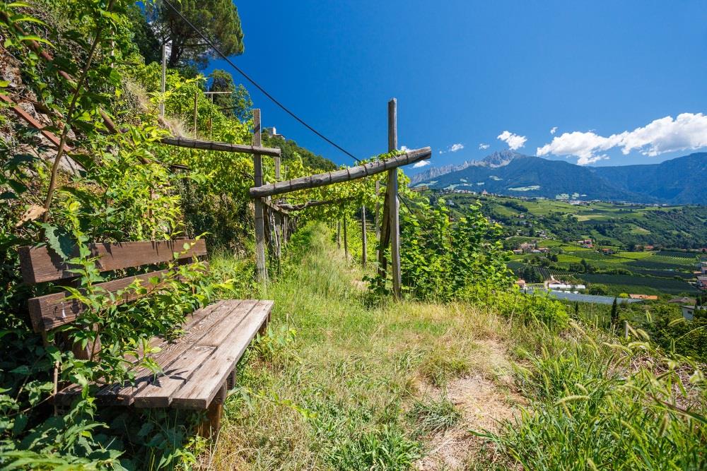 Garni Weigelehof Algund 14 suedtirol.info