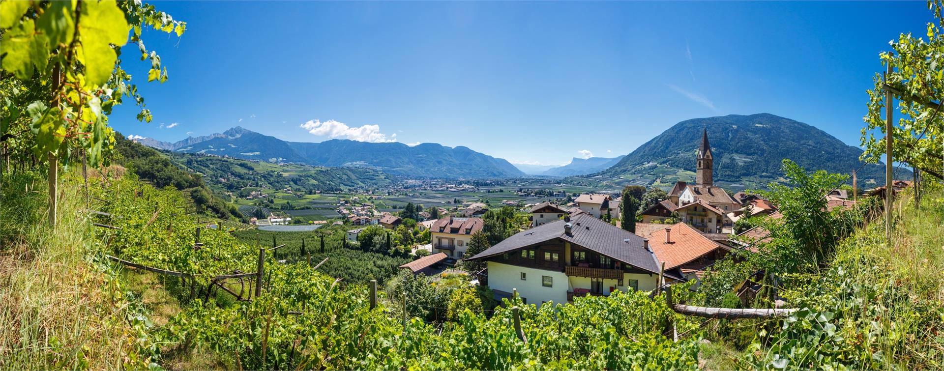 Garni Weigelehof Algund 15 suedtirol.info