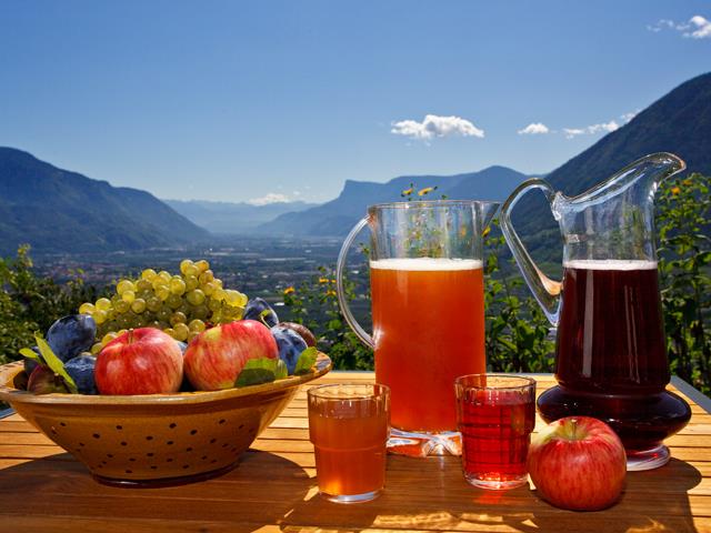 Garni Oberanger Tirol 8 suedtirol.info