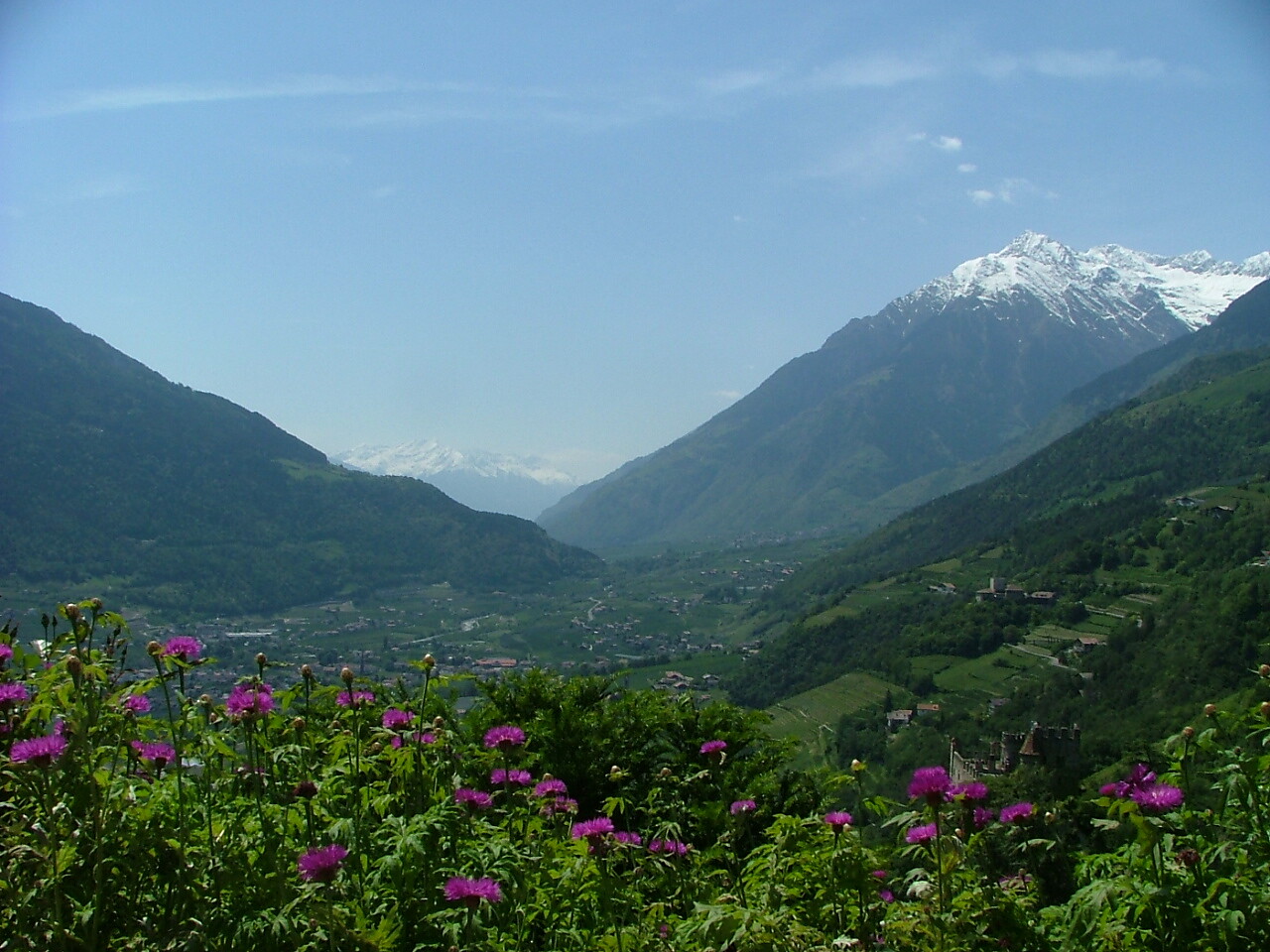 Herzgütl