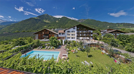 Garni-Hotel Tritscherhof Tirol 21 suedtirol.info