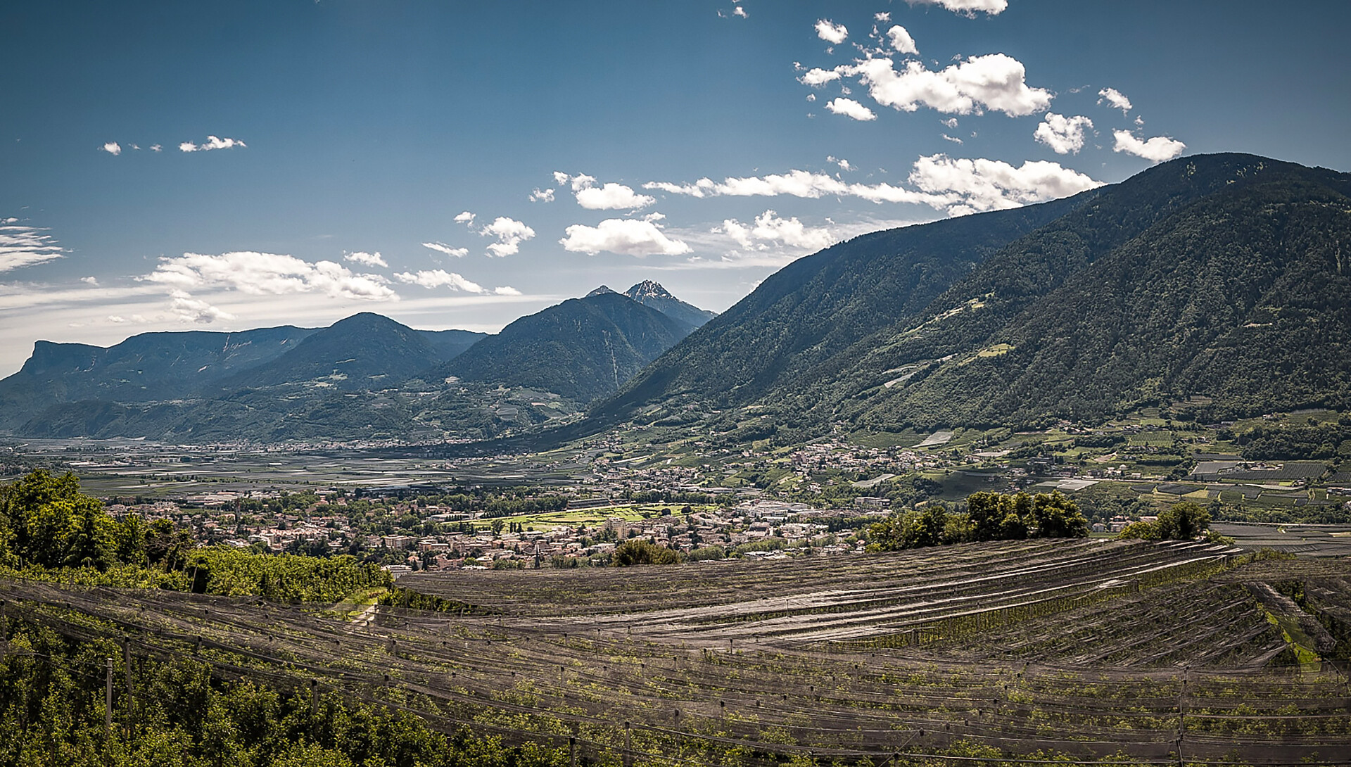 Ausblick