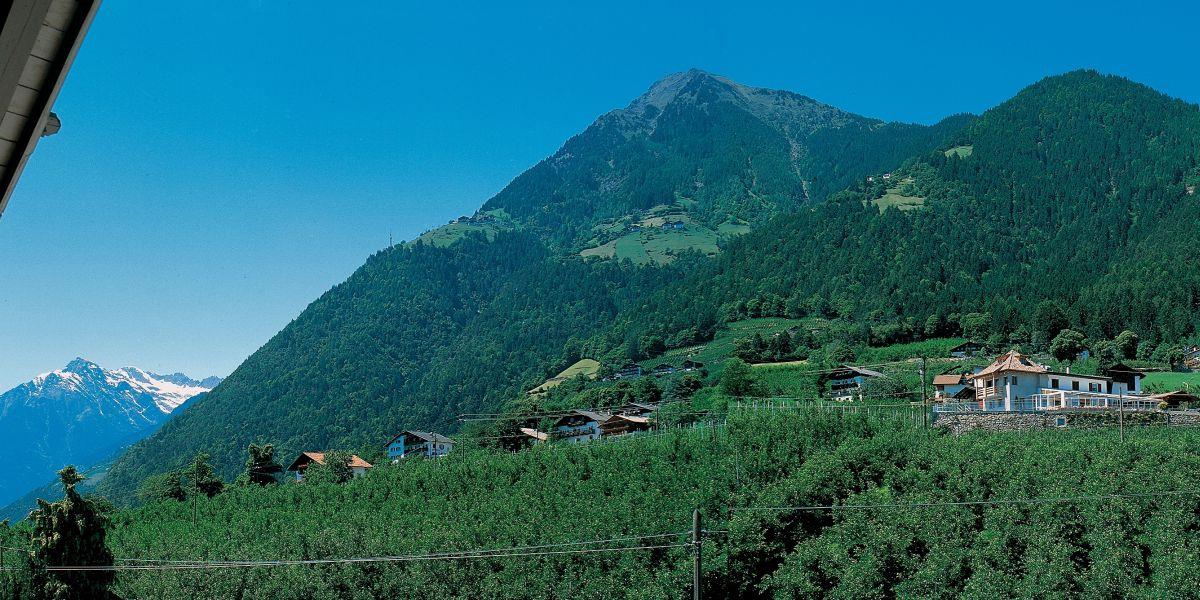 Garni-Hotel Alpentirolis Tirolo 6 suedtirol.info