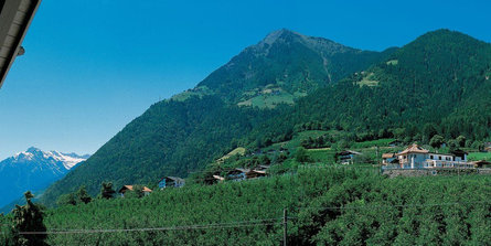 Garni-Hotel Alpentirolis Tirol 6 suedtirol.info