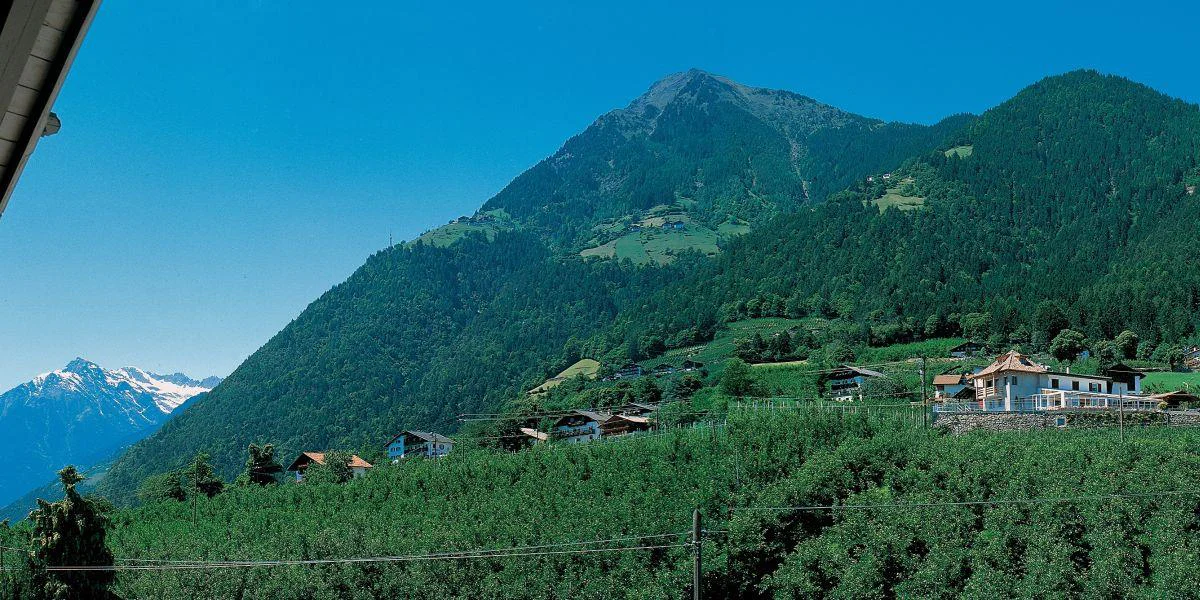 Garni-Hotel Alpentirolis Tirol/Tirolo 6 suedtirol.info