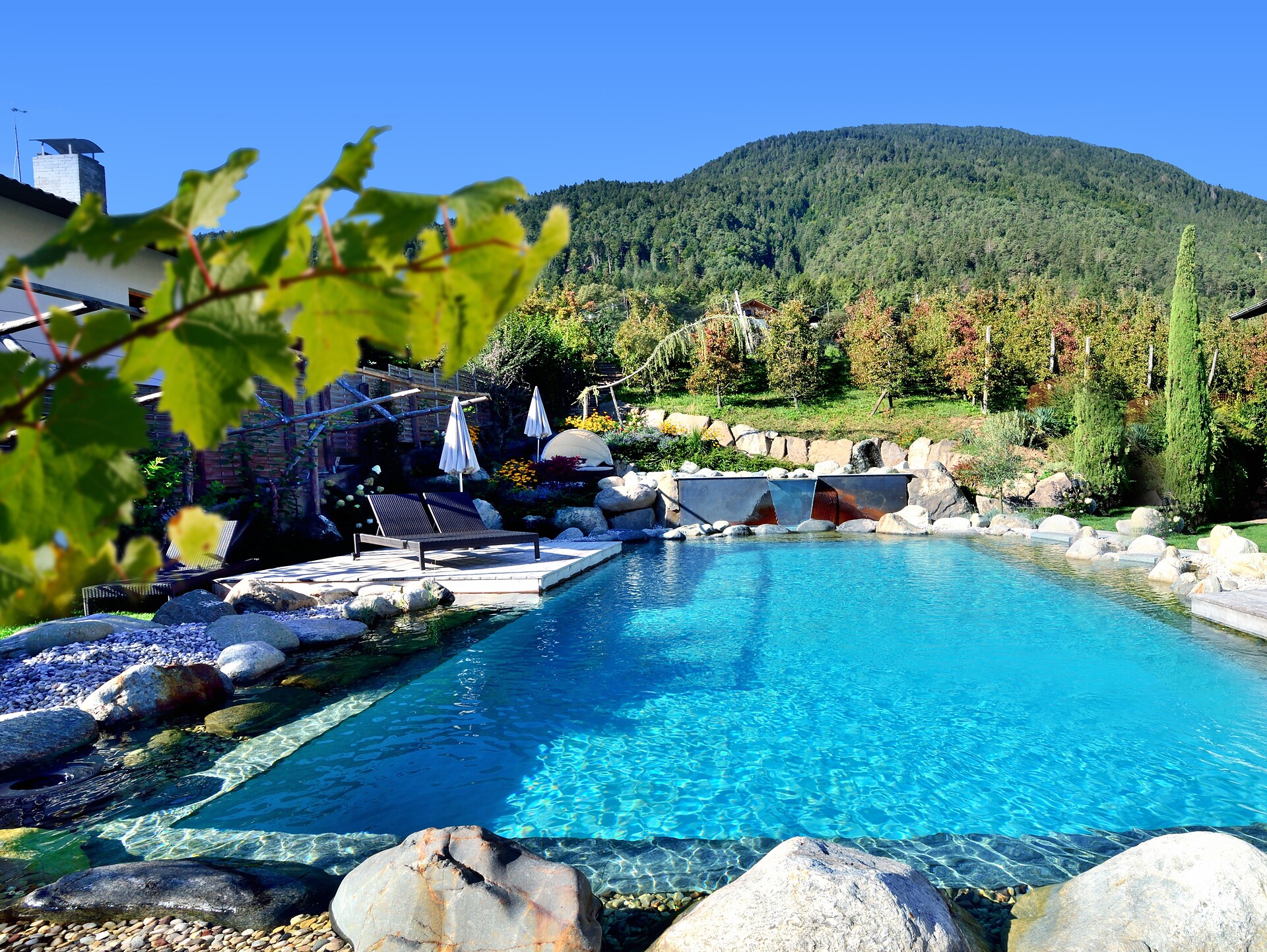 Bio Pool