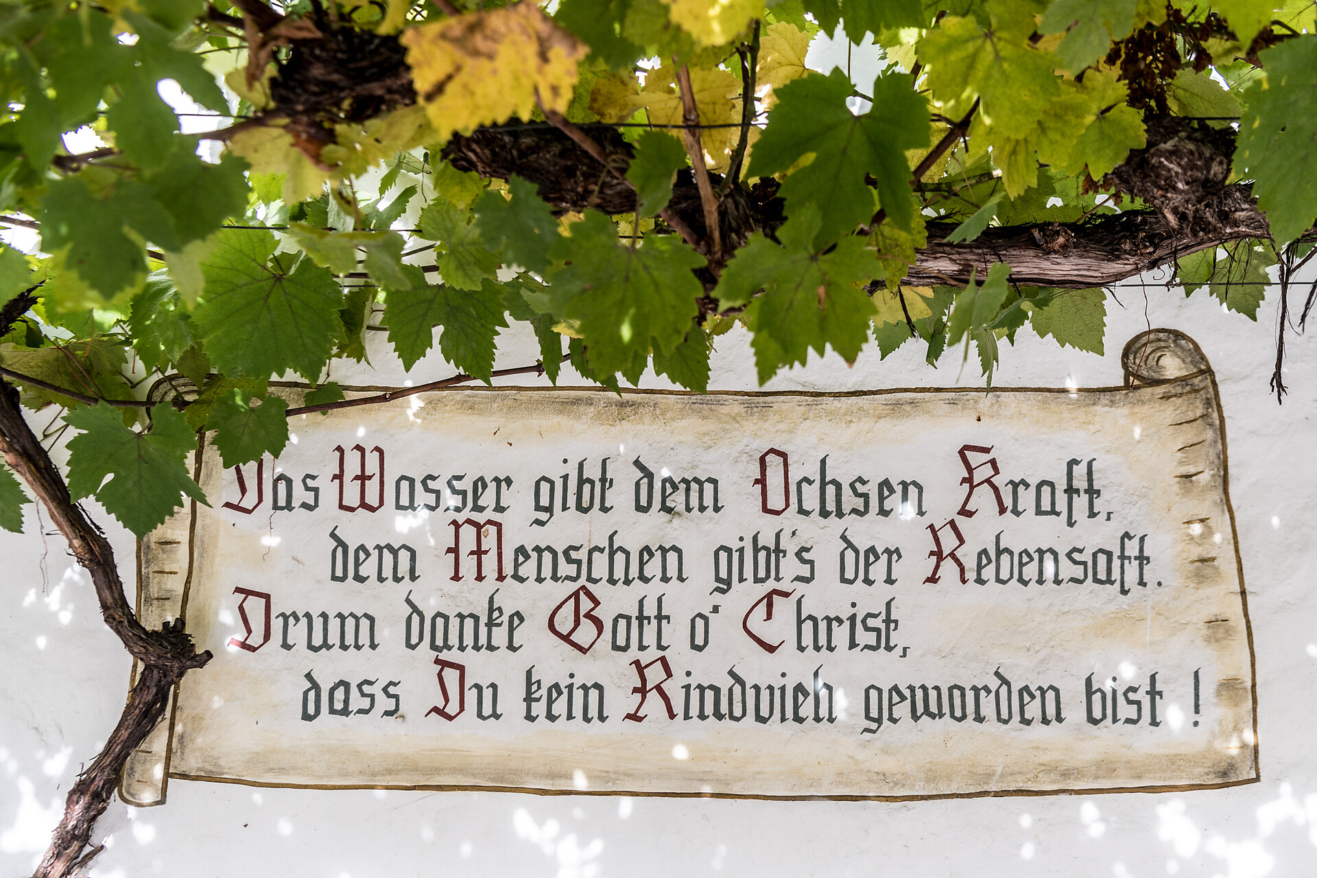 Saying on the wall