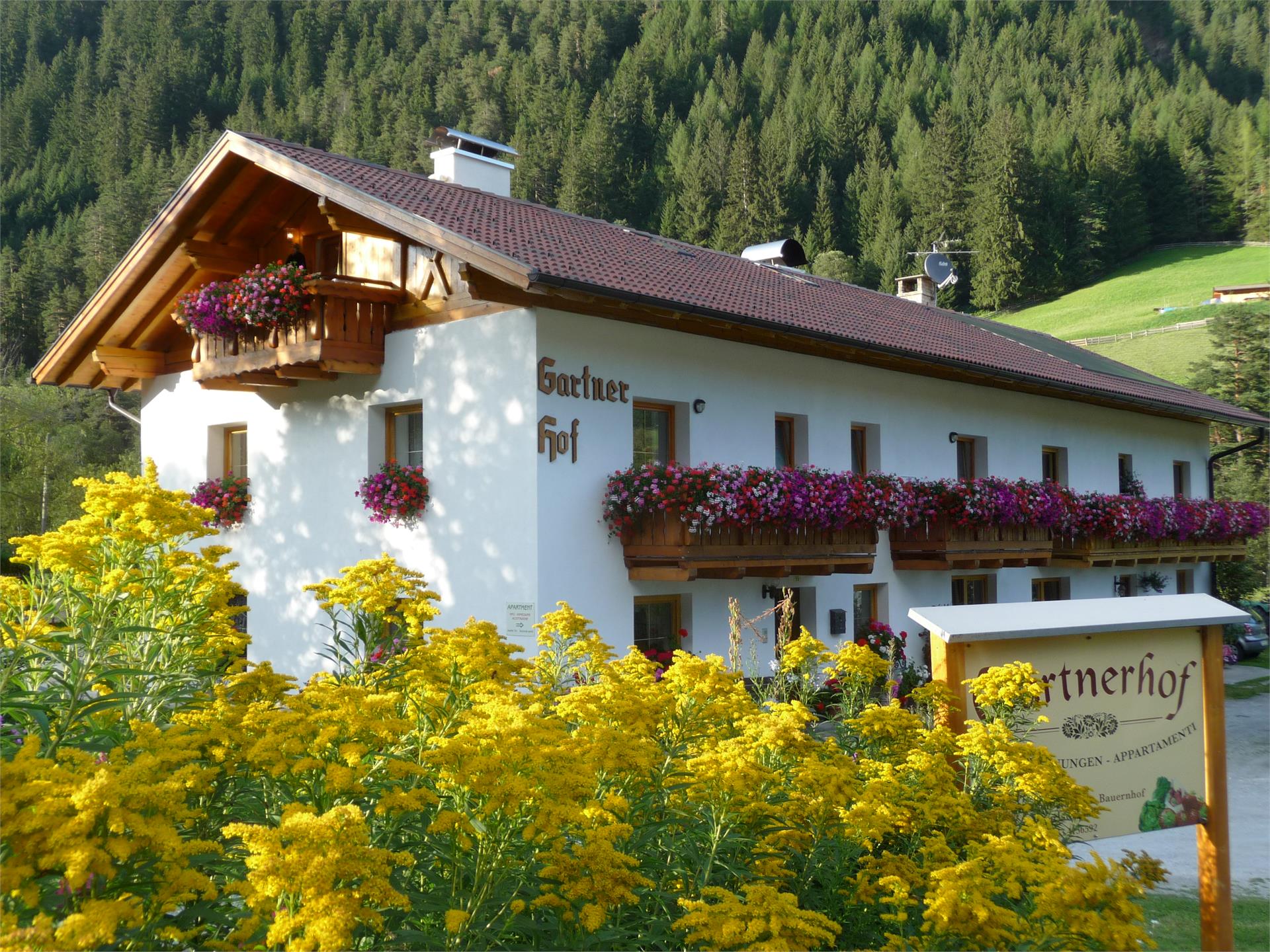 Gartnerhof Brenner 2 suedtirol.info