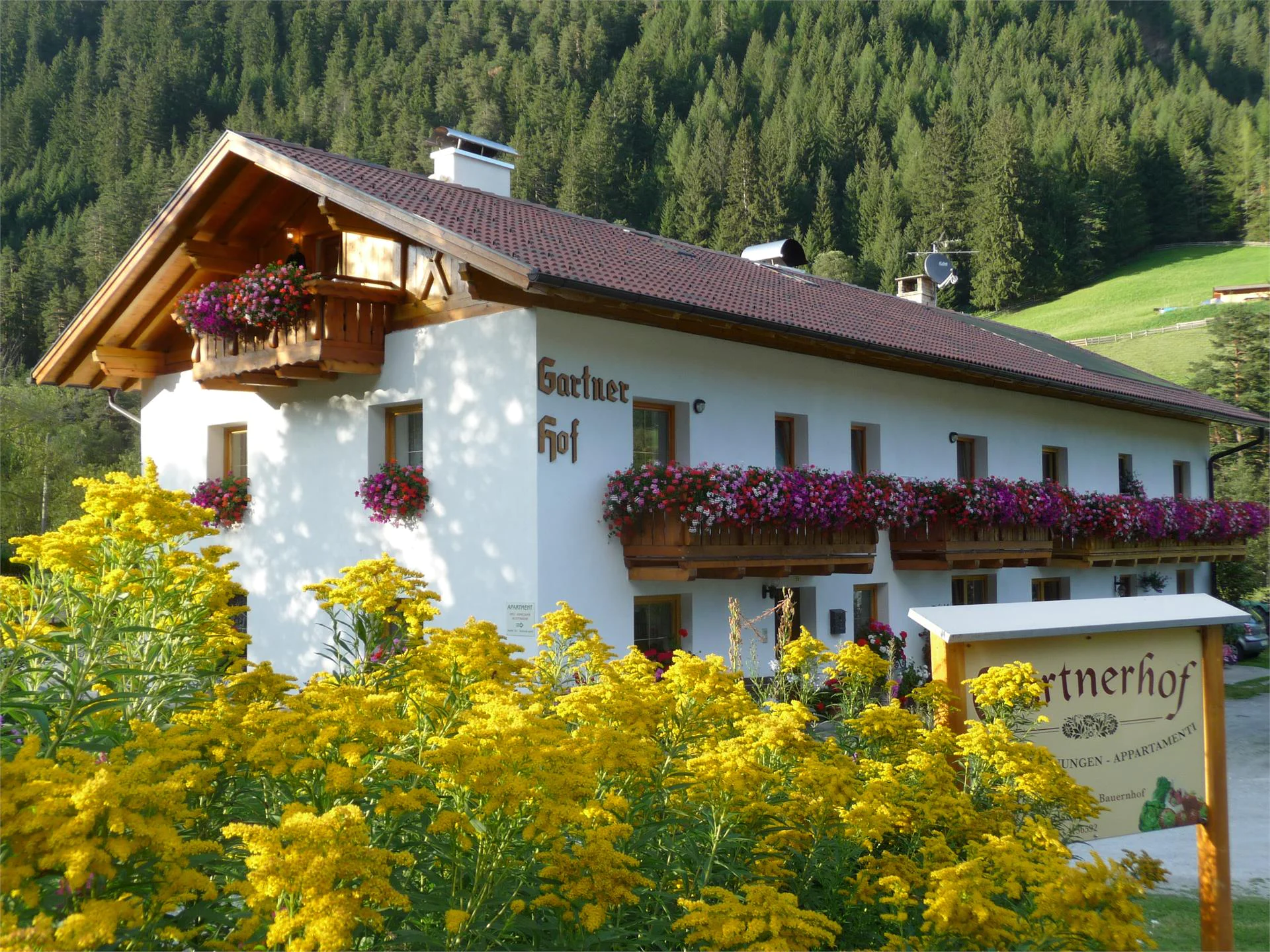 Gartnerhof Brennero 2 suedtirol.info