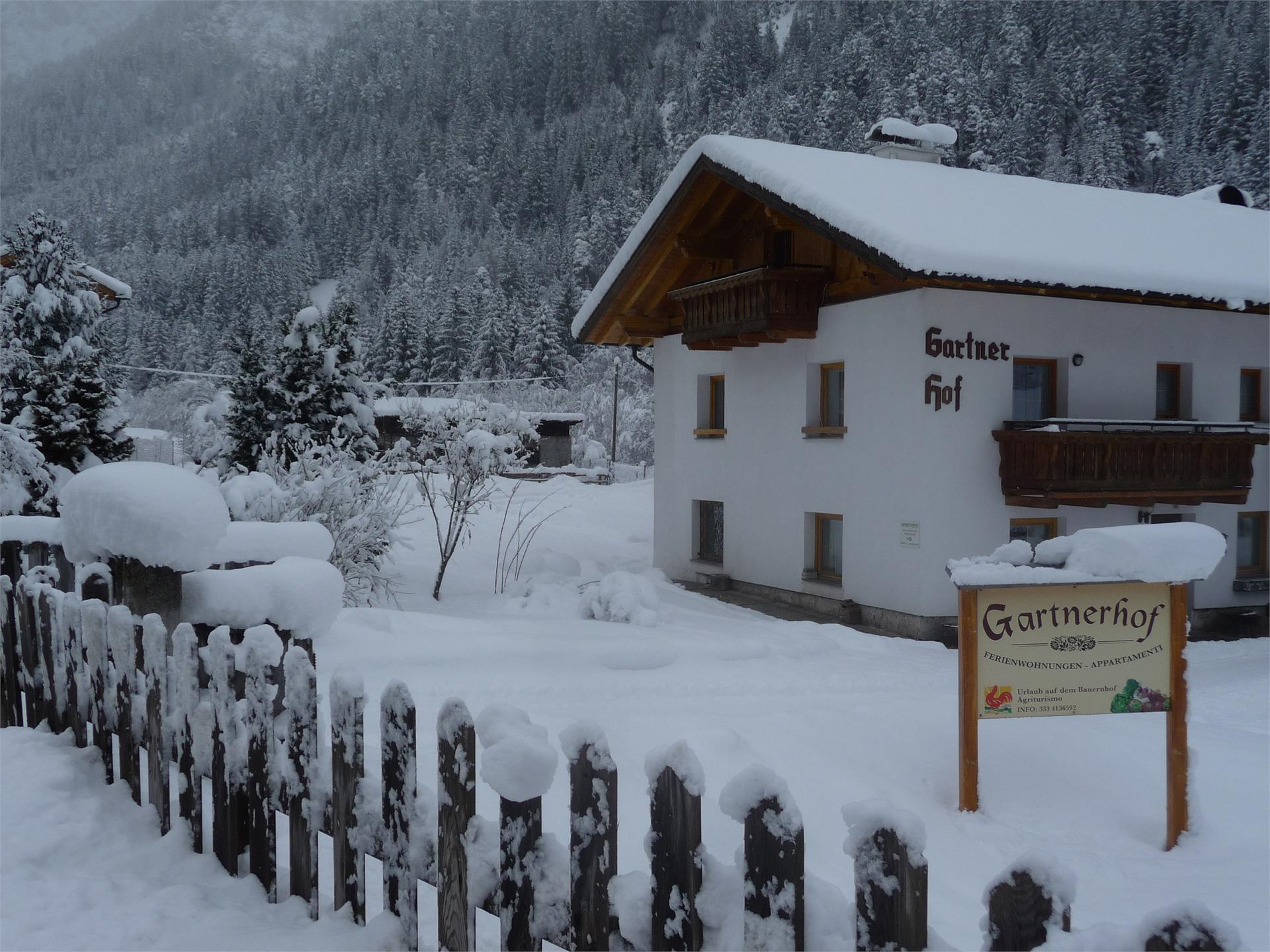 Gartnerhof Brenner 6 suedtirol.info