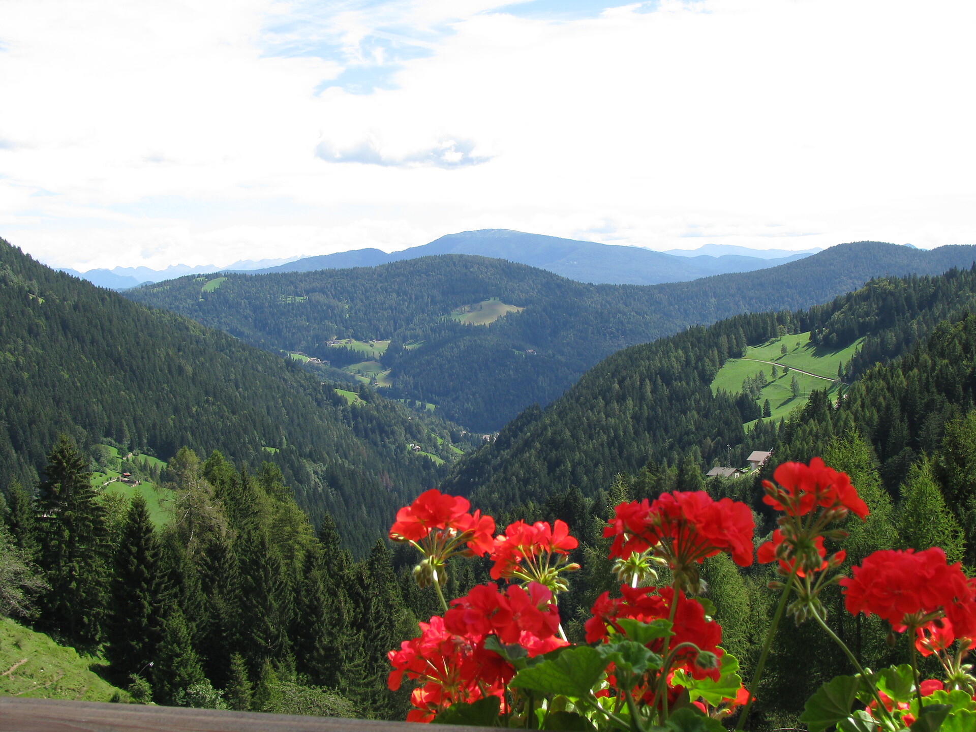 Aussicht