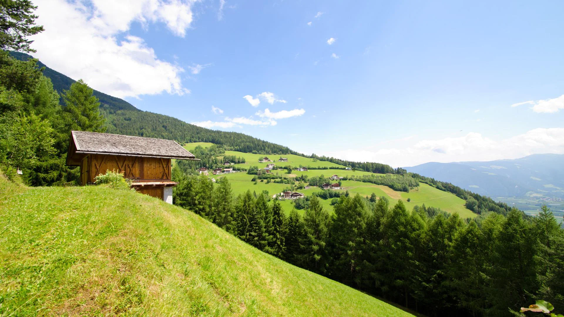 Pensione Sonngruber Varna 9 suedtirol.info