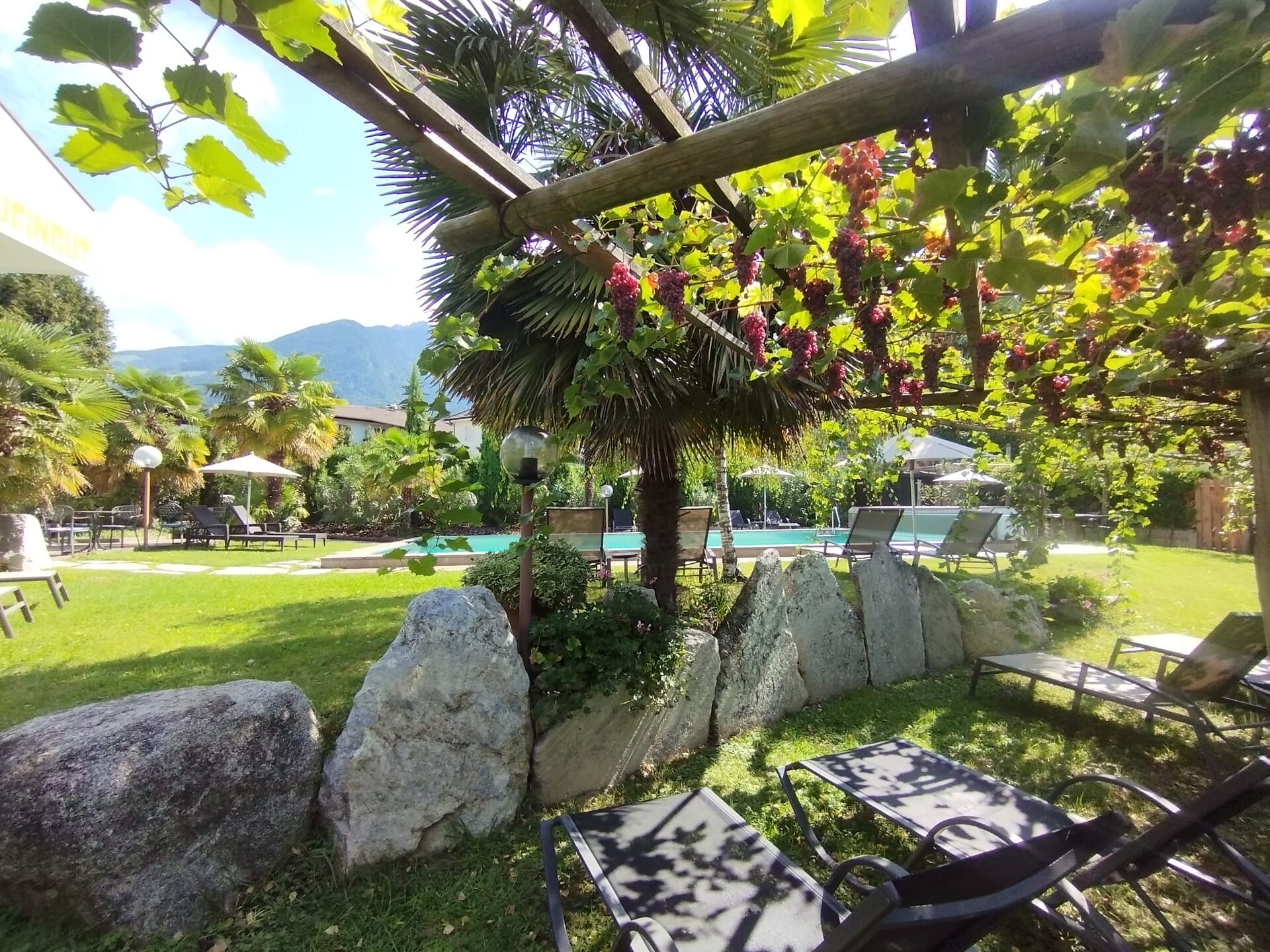 Garni Weingut - Meran und Umgebung - #5 - suedtirol.info