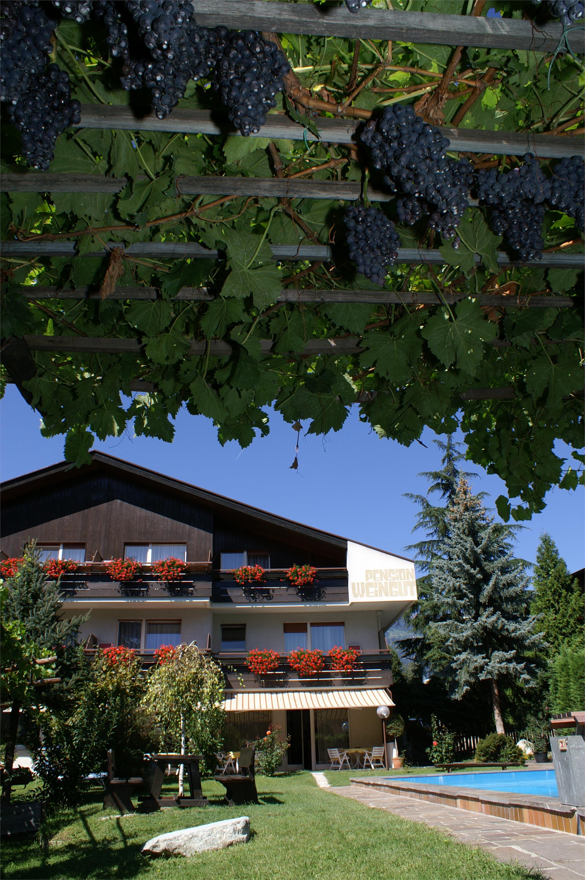 Garni Weingut Meran 2 suedtirol.info