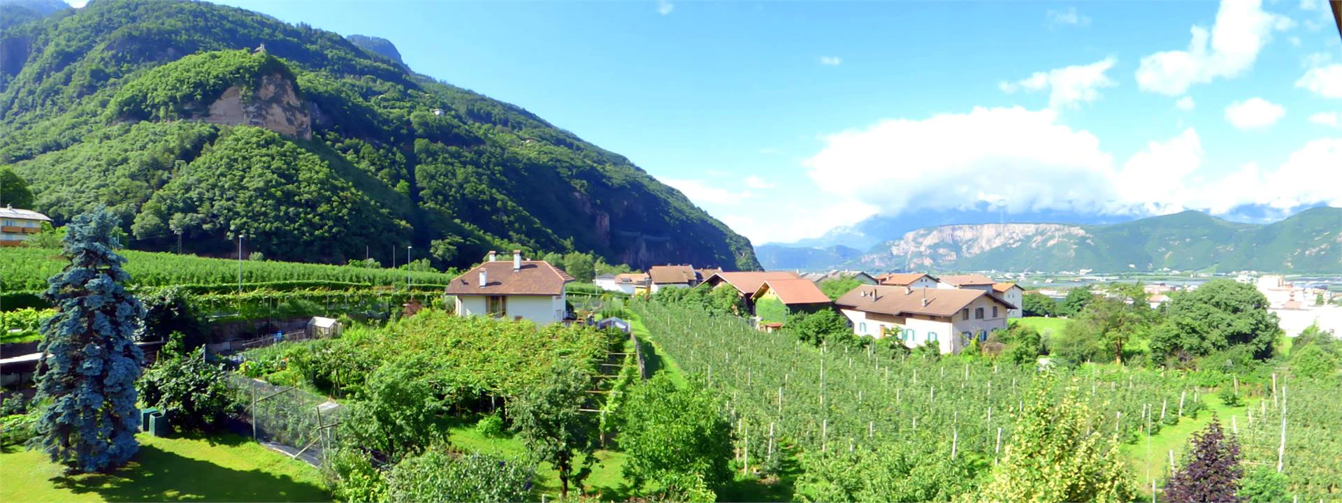 Garni-Hotel Grüner Baum Laives/Leifers 7 suedtirol.info