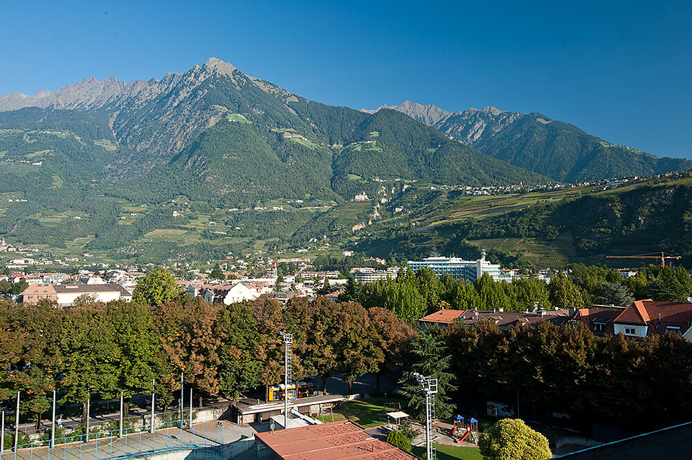 view
