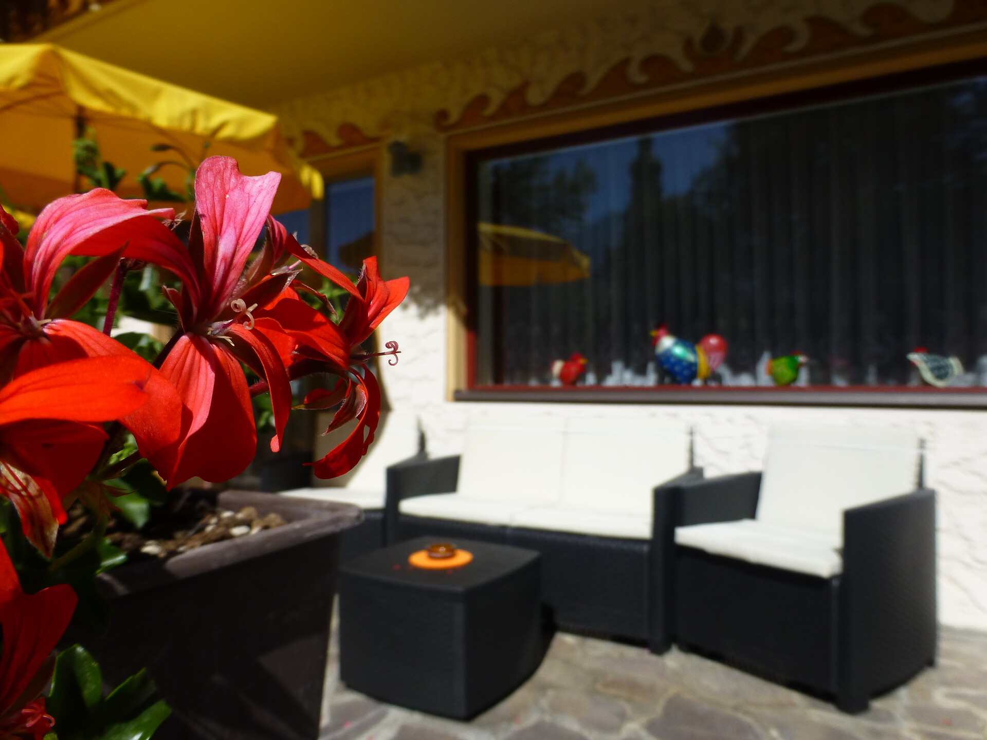 Terrace