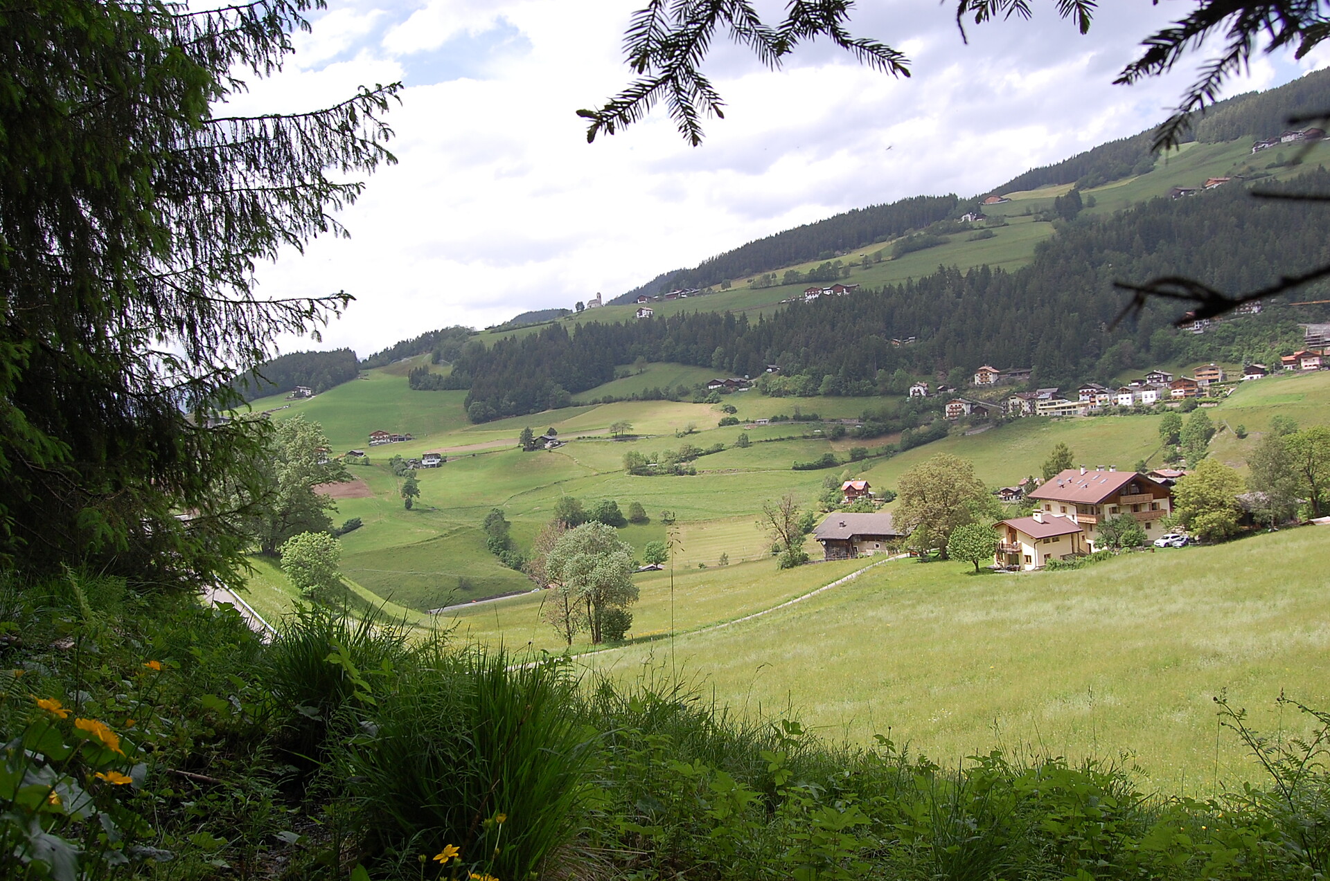 Ganoihof