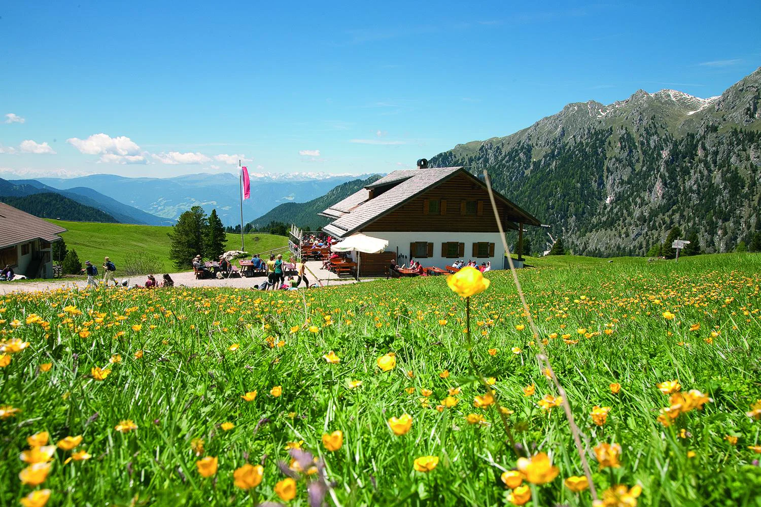 Gampenalm Villnöss 11 suedtirol.info