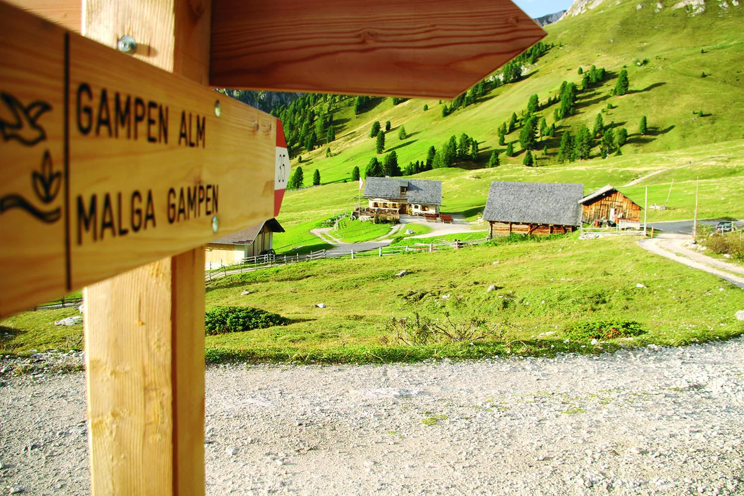 Gampenalm Villnöss 8 suedtirol.info