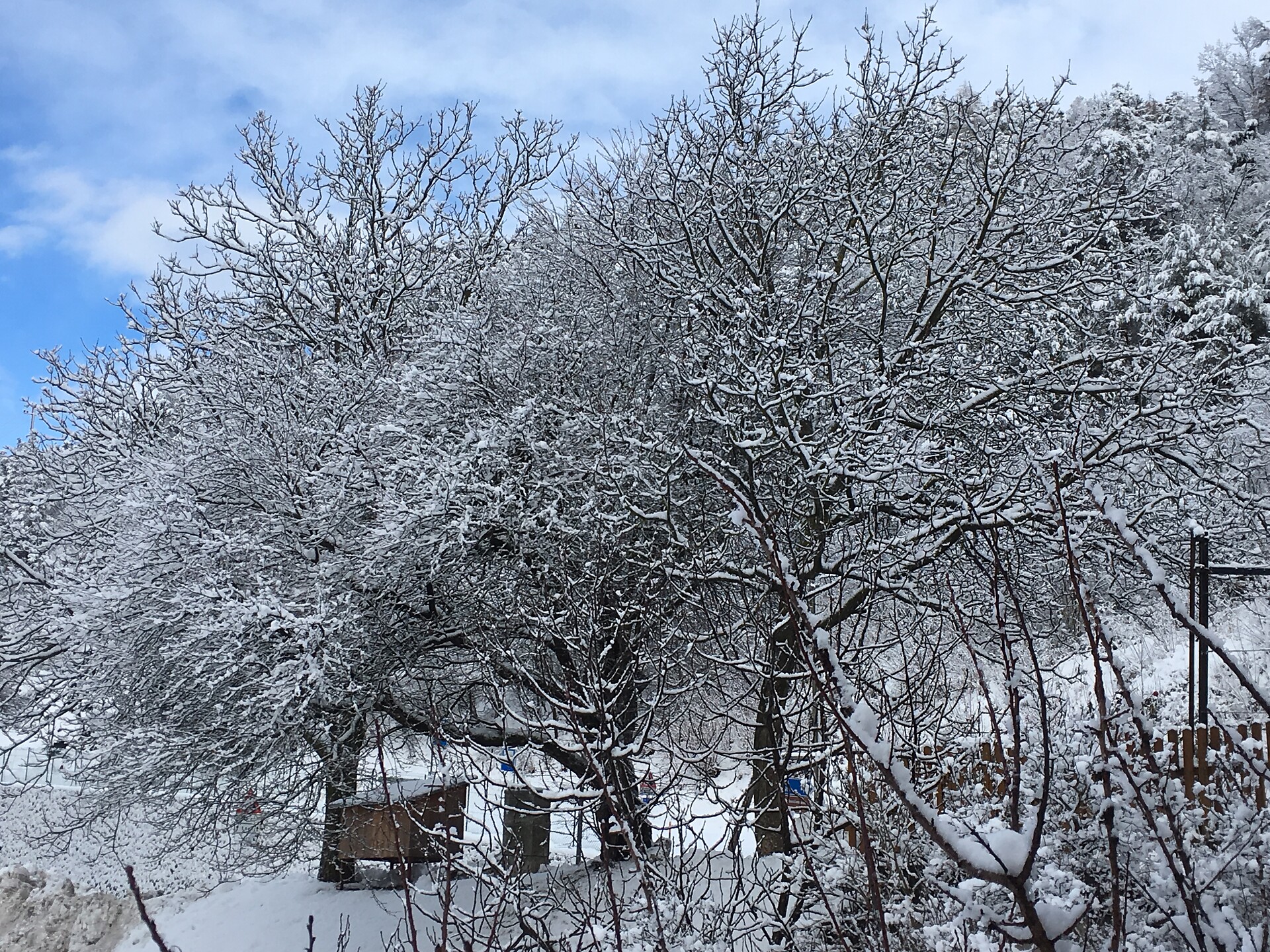 Inverno