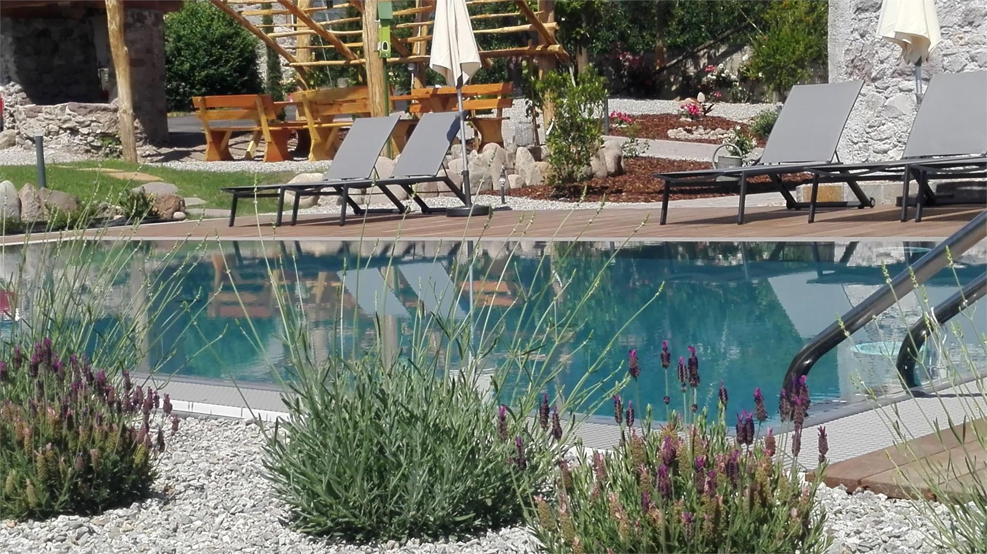 Grieserhof Nals 9 suedtirol.info