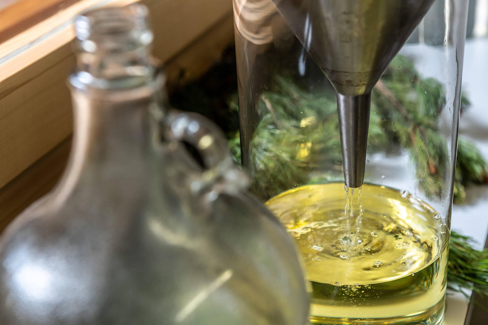 100%  mountain pine essential oil
