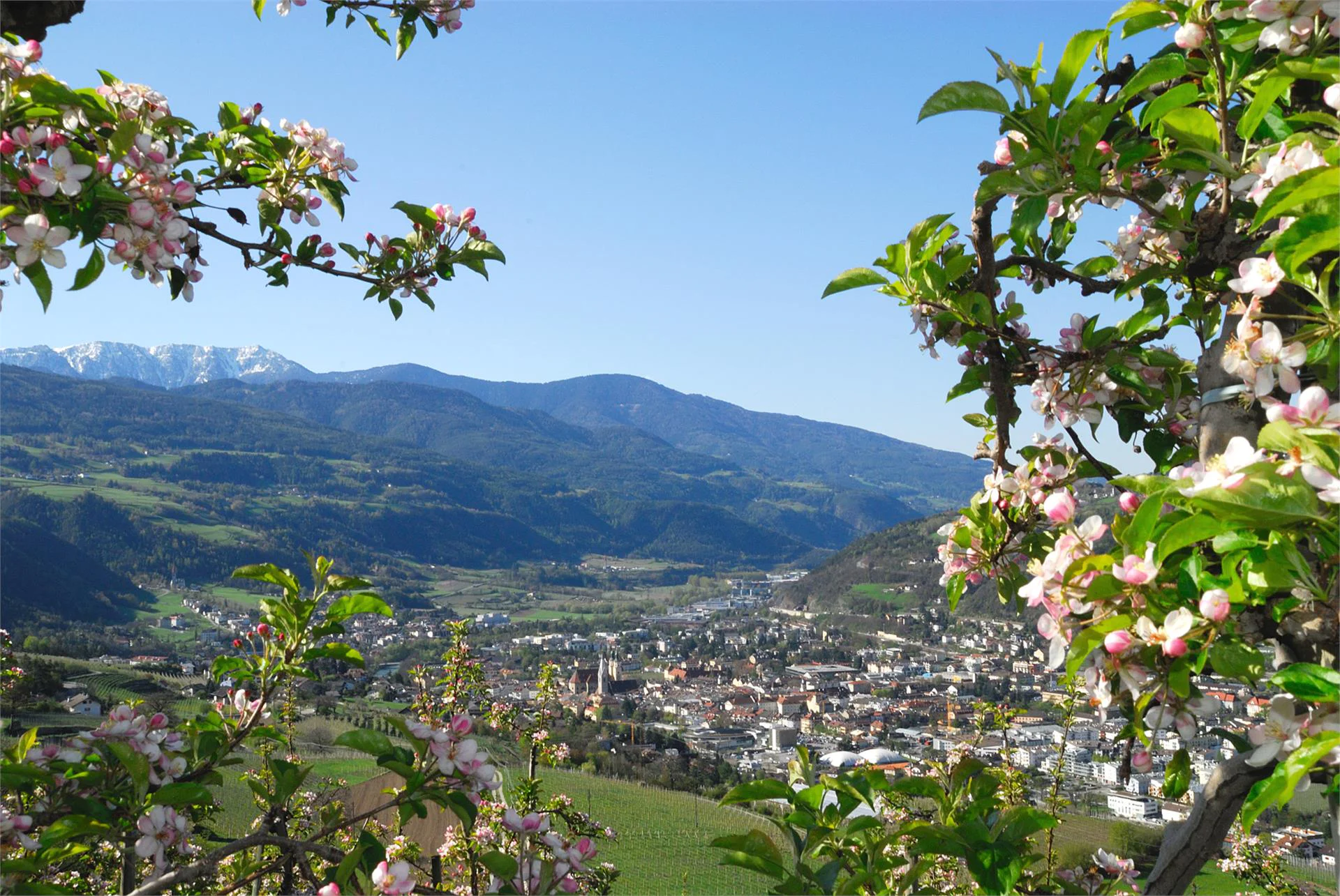 Garni Graf Messnerhof Bressanone 16 suedtirol.info