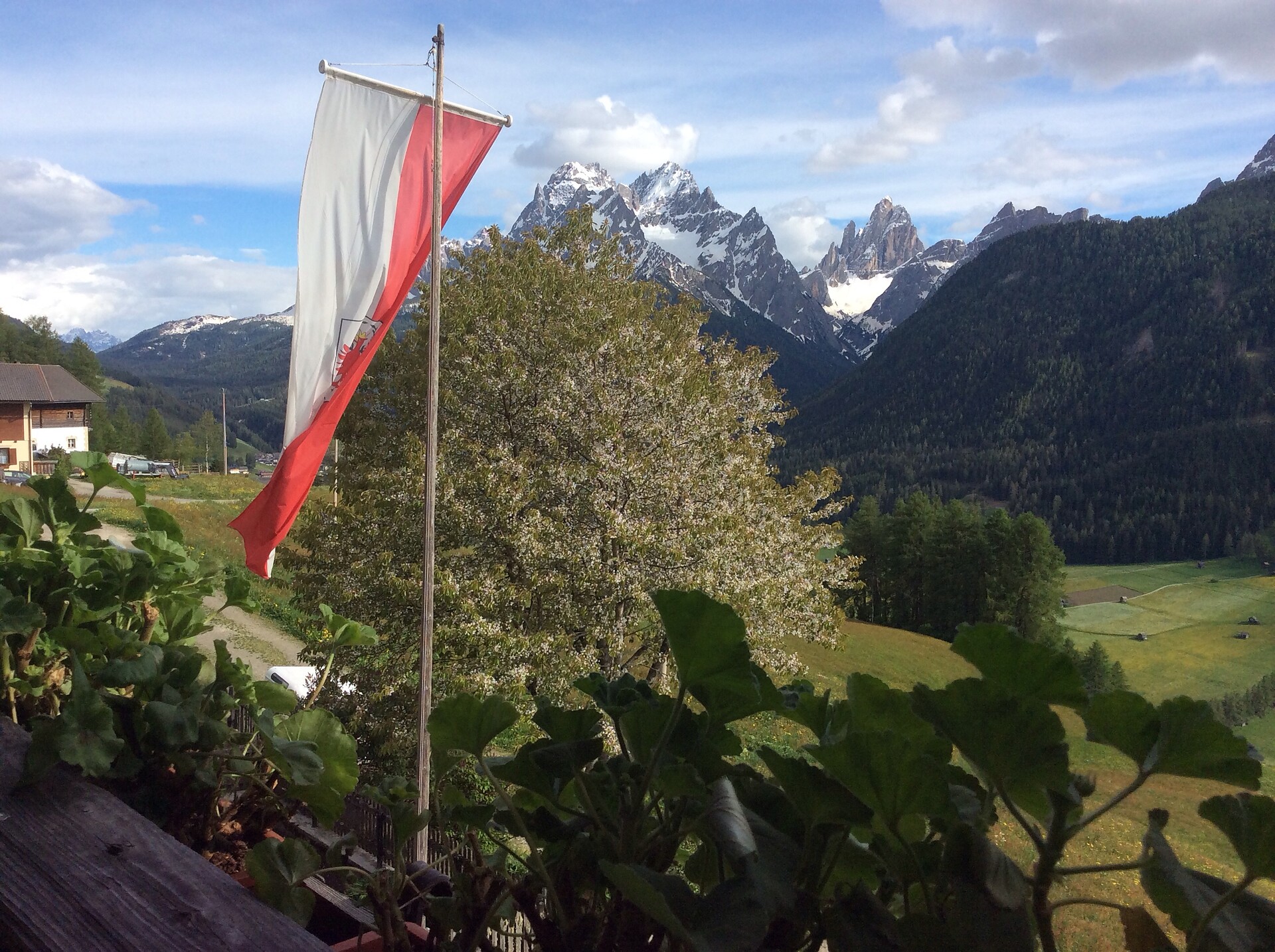 View from our rooms